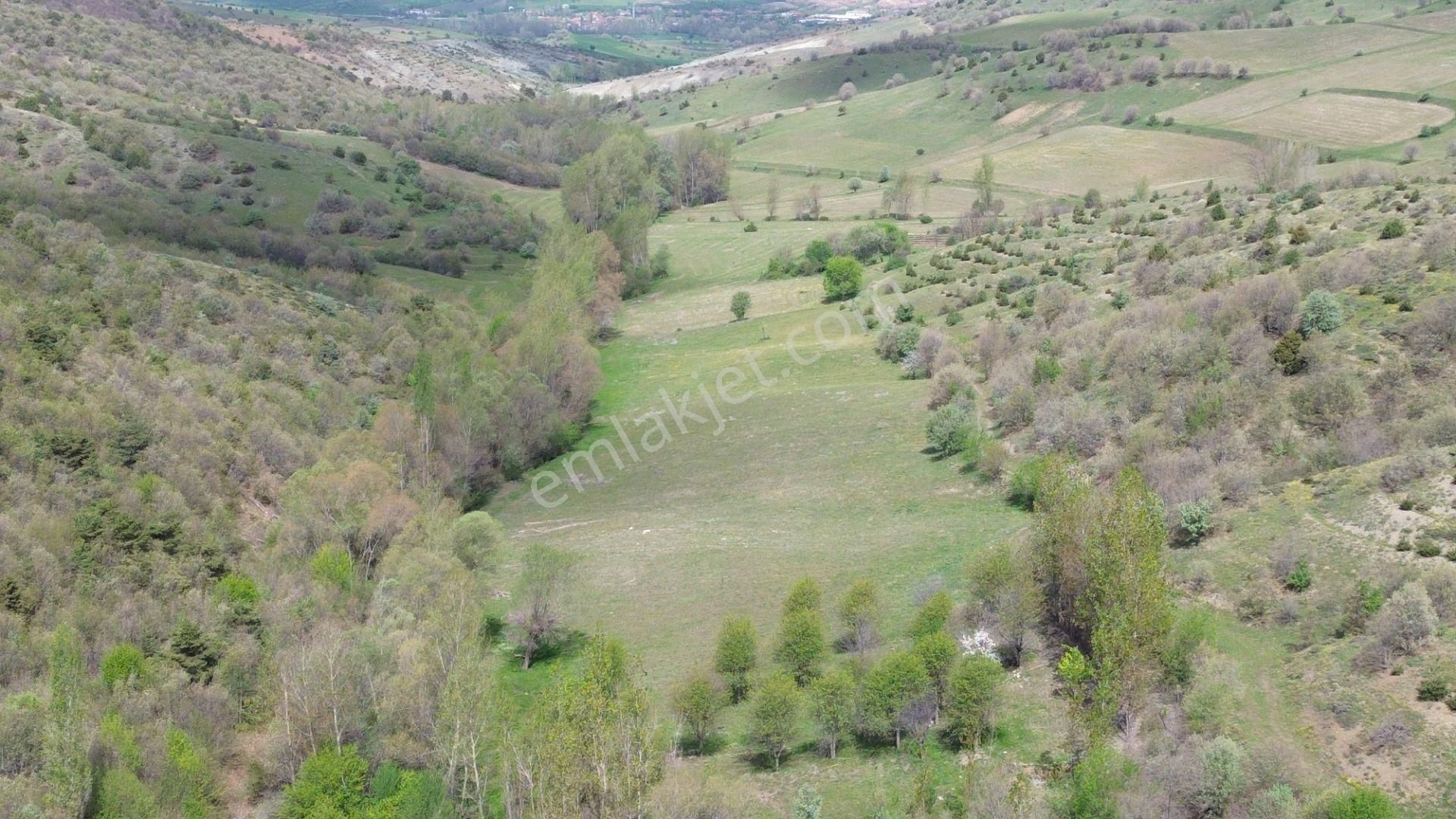 7300 M² Tarla / Tokat / Artova / Ağmusa Mah - Görsel 9