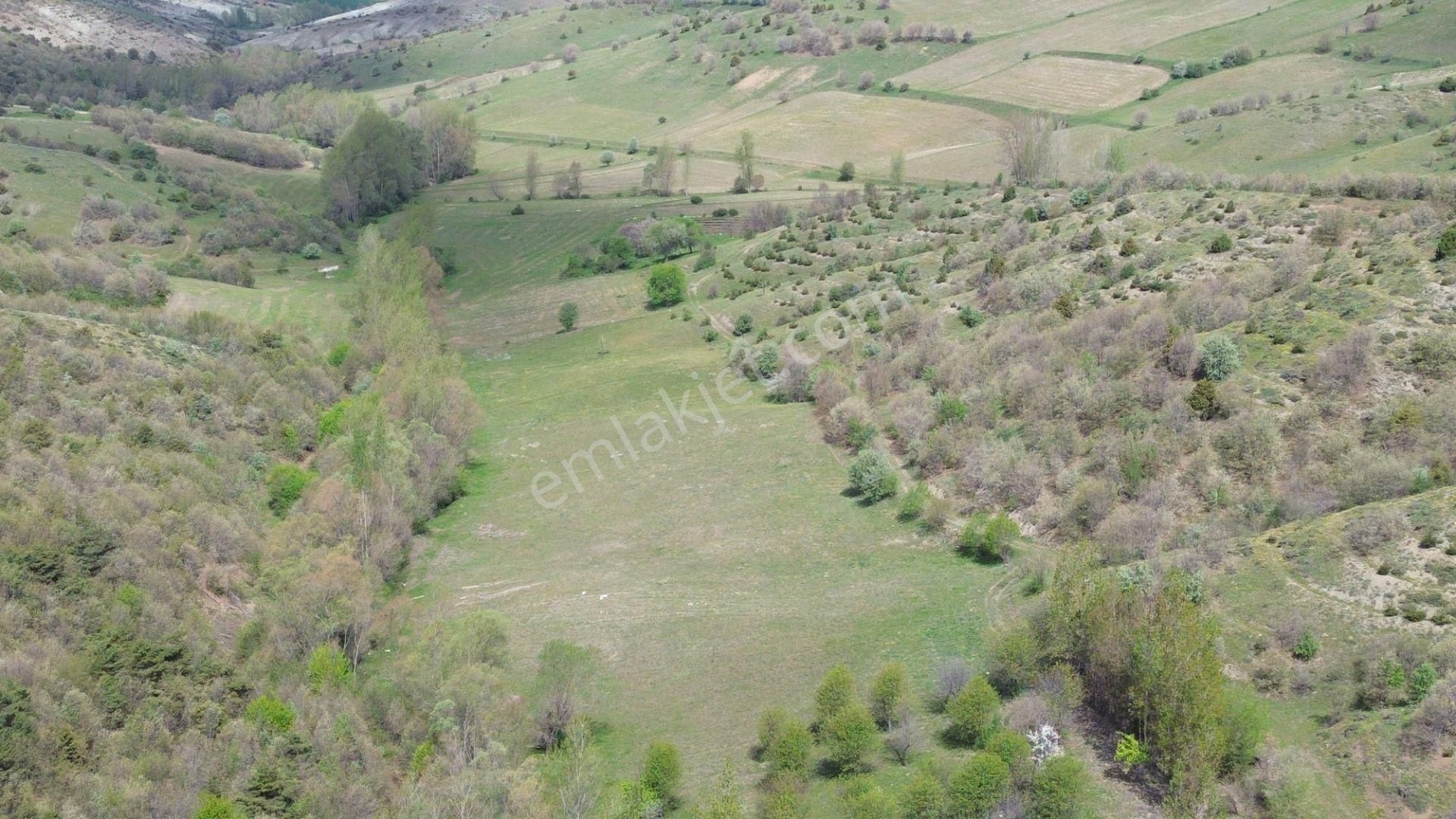7300 M² Tarla / Tokat / Artova / Ağmusa Mah - Görsel 11