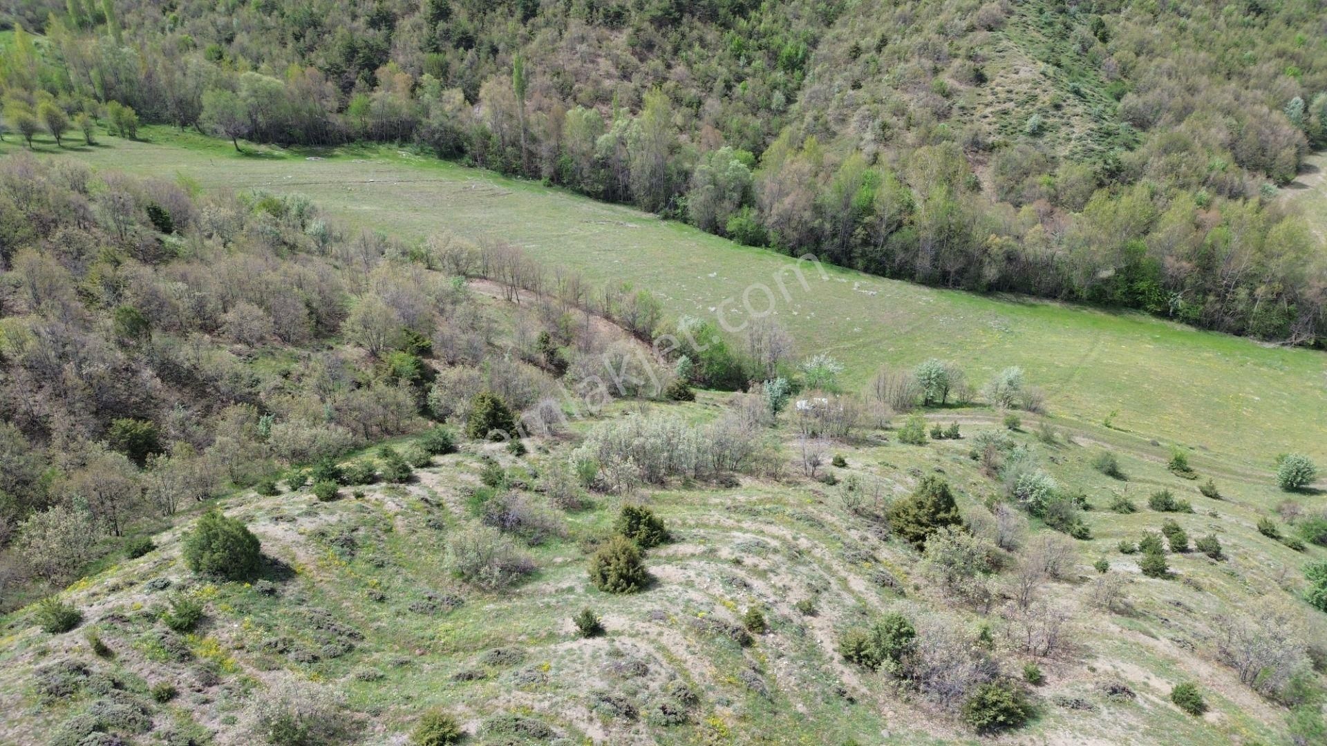 7300 M² Tarla / Tokat / Artova / Ağmusa Mah - Görsel 4