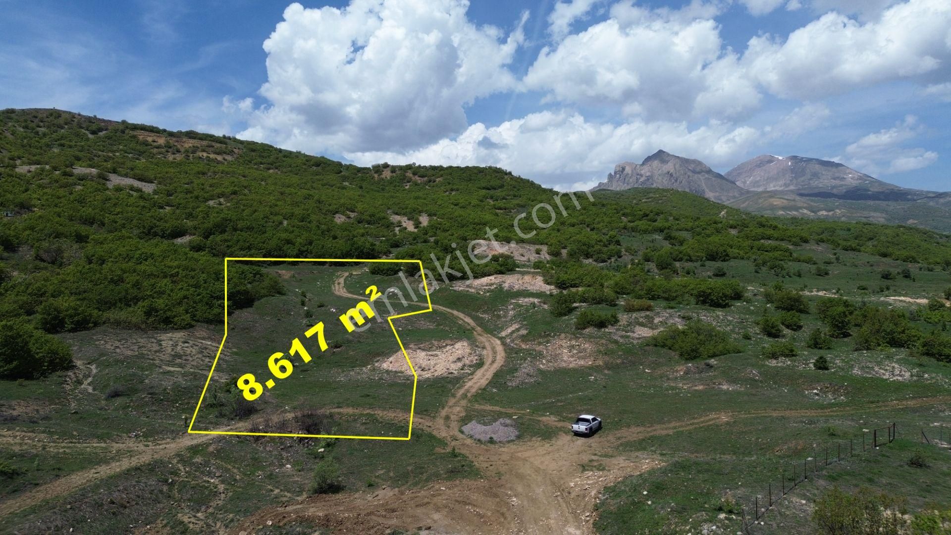 Bingöl / Yayladere / Yolgüden Mah. 8617 M² Tarla