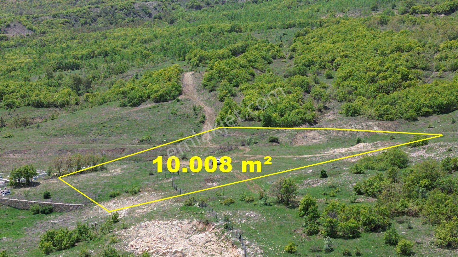 Bingöl / Yayladere / Yolgüden Mahallesinde 10.008 M² Müstakil