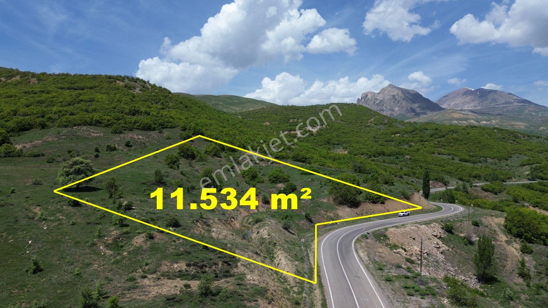 Yayladere / Yolgüden Mahallesinde 11.534 M² Müstakil Tapu