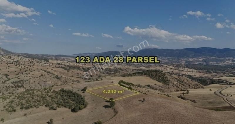 Hamamözü Sarayözü Köyü Satılık Tarla Amasya / Hamamözü / Sarayözü Nde 4.242 M² Müstakil Tarla