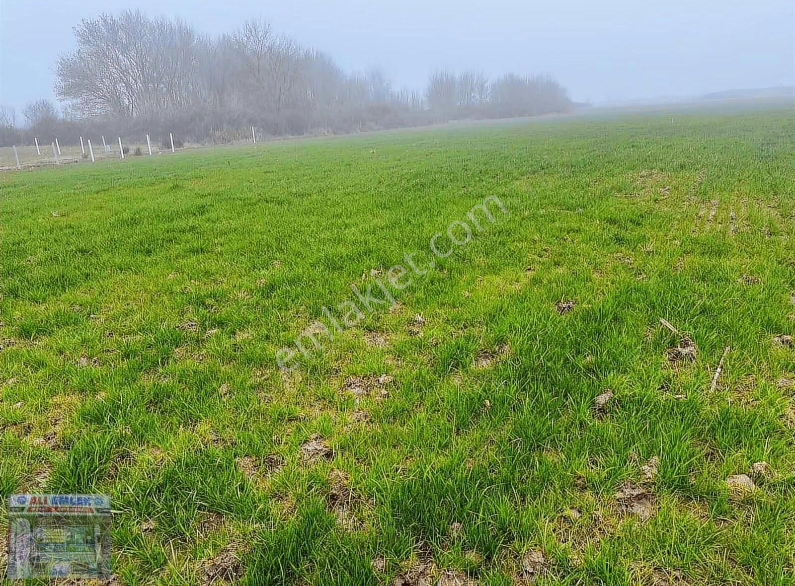 Çatalca Karacaköy Merkez Satılık Tarla Çatalca Karacaköy 187metre Çaplı Muvafakatnameli