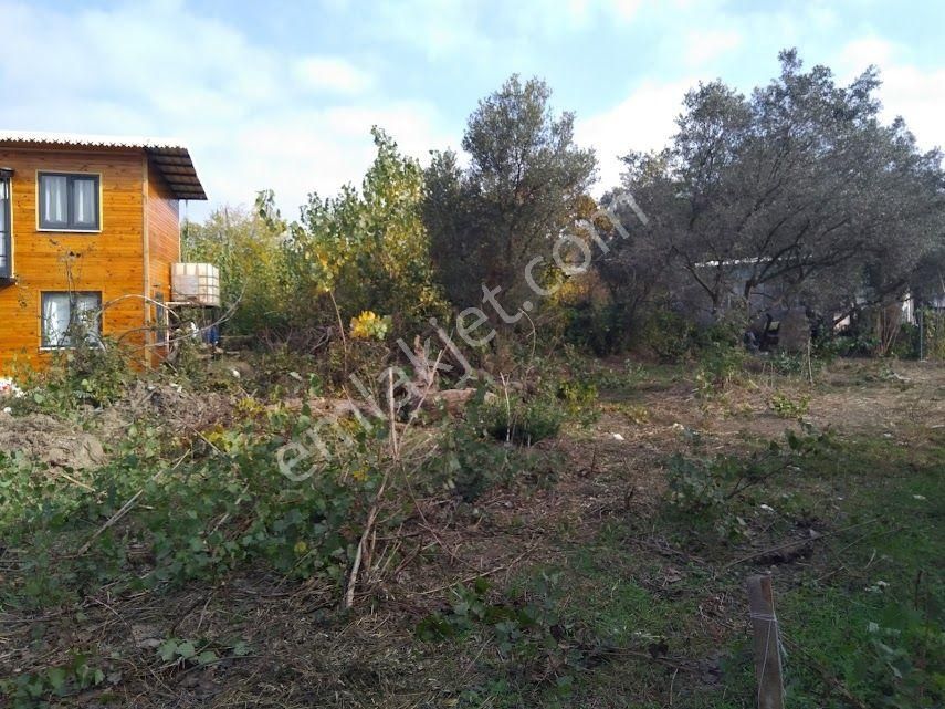 Mudanya Esence Satılık Tarla Mudi Emlak'tan Mudanya Eşkel-esence' Denize-merkeze-ana Yola Yakın, Resmi Tapulu Satılık Arazi