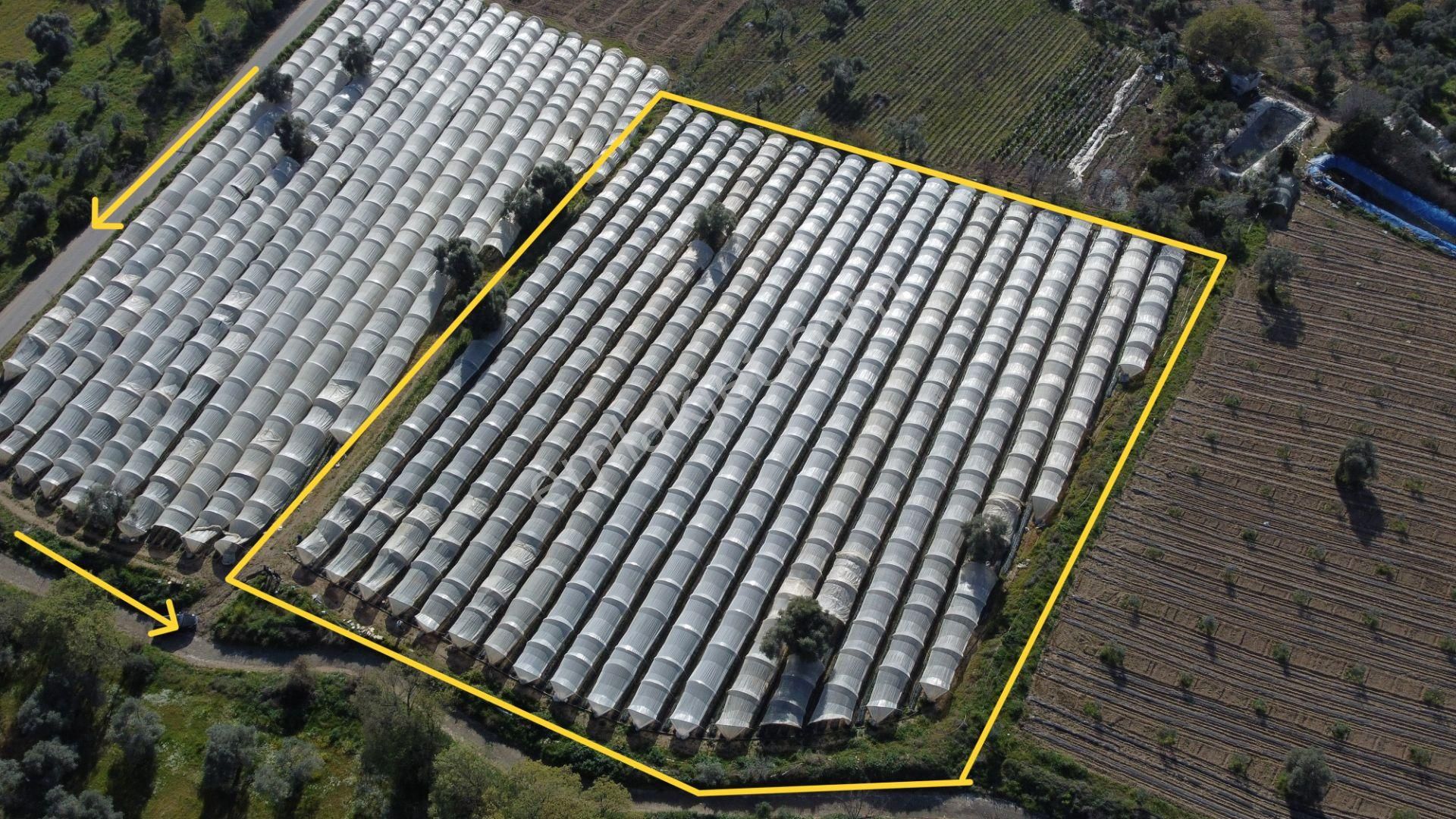 ✅✅ !!acilll!! Sultanhisar-yenipazar Yolu Kavşağında Satılık Bahçe ✅✅ - Görsel 2