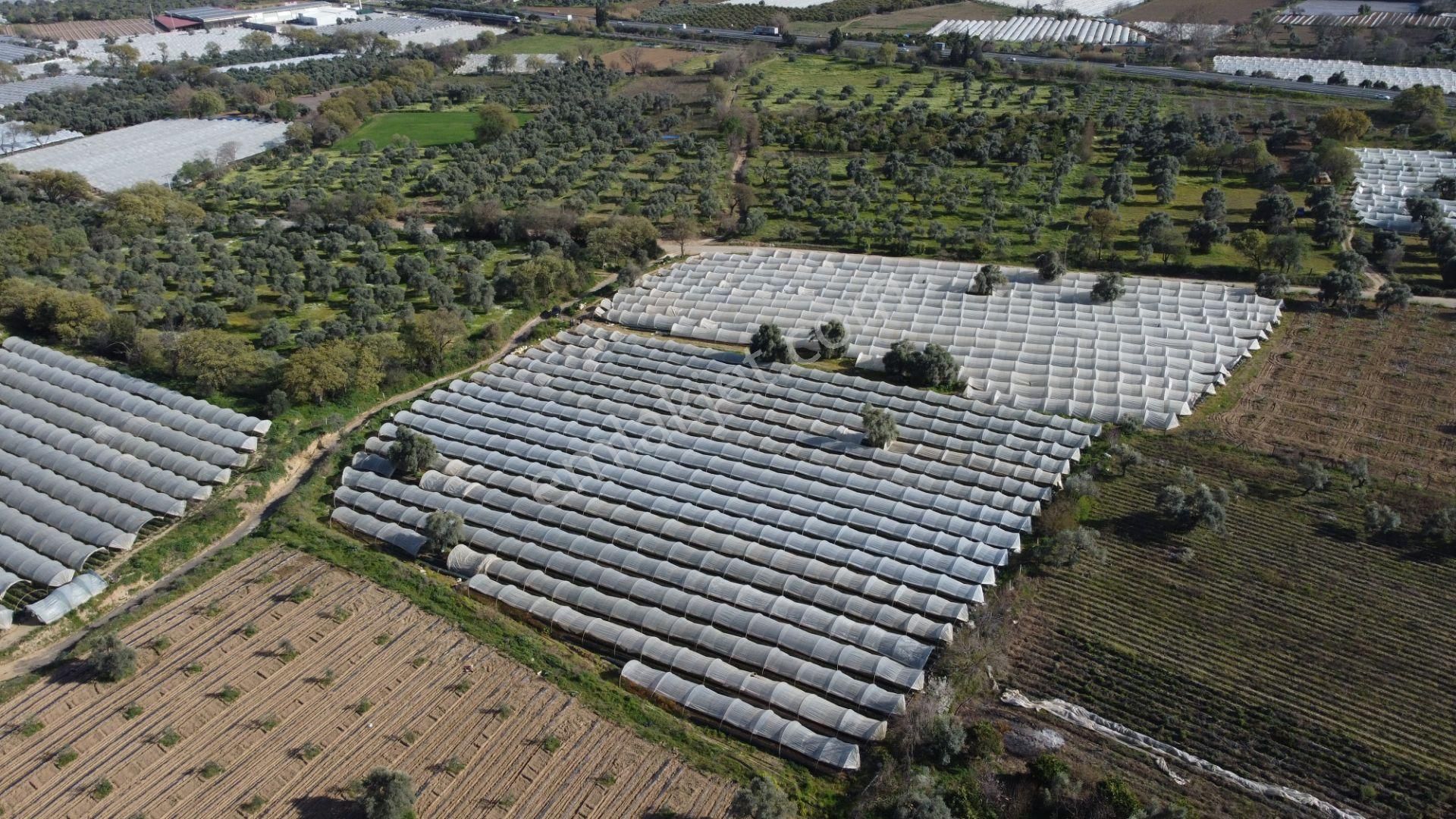 ✅✅ !!acilll!! Sultanhisar-yenipazar Yolu Kavşağında Satılık Bahçe ✅✅ - Görsel 4