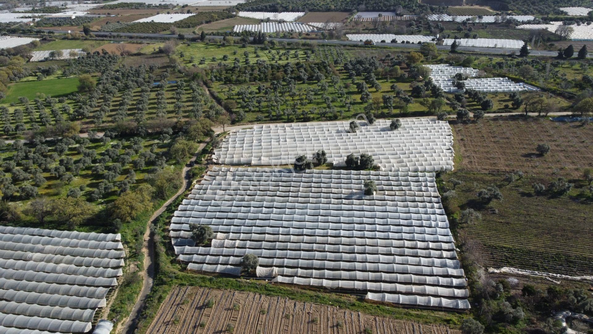 ✅✅ !!acilll!! Sultanhisar-yenipazar Yolu Kavşağında Satılık Bahçe ✅✅ - Görsel 7