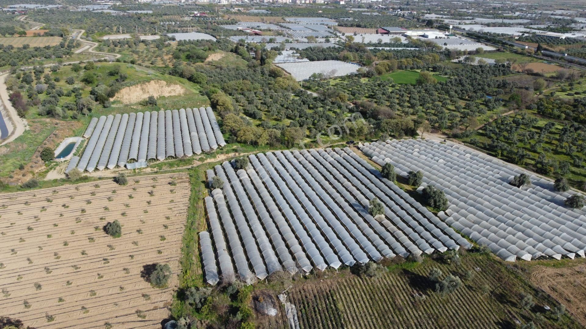 ✅✅ !!acilll!! Sultanhisar-yenipazar Yolu Kavşağında Satılık Bahçe ✅✅ - Görsel 3