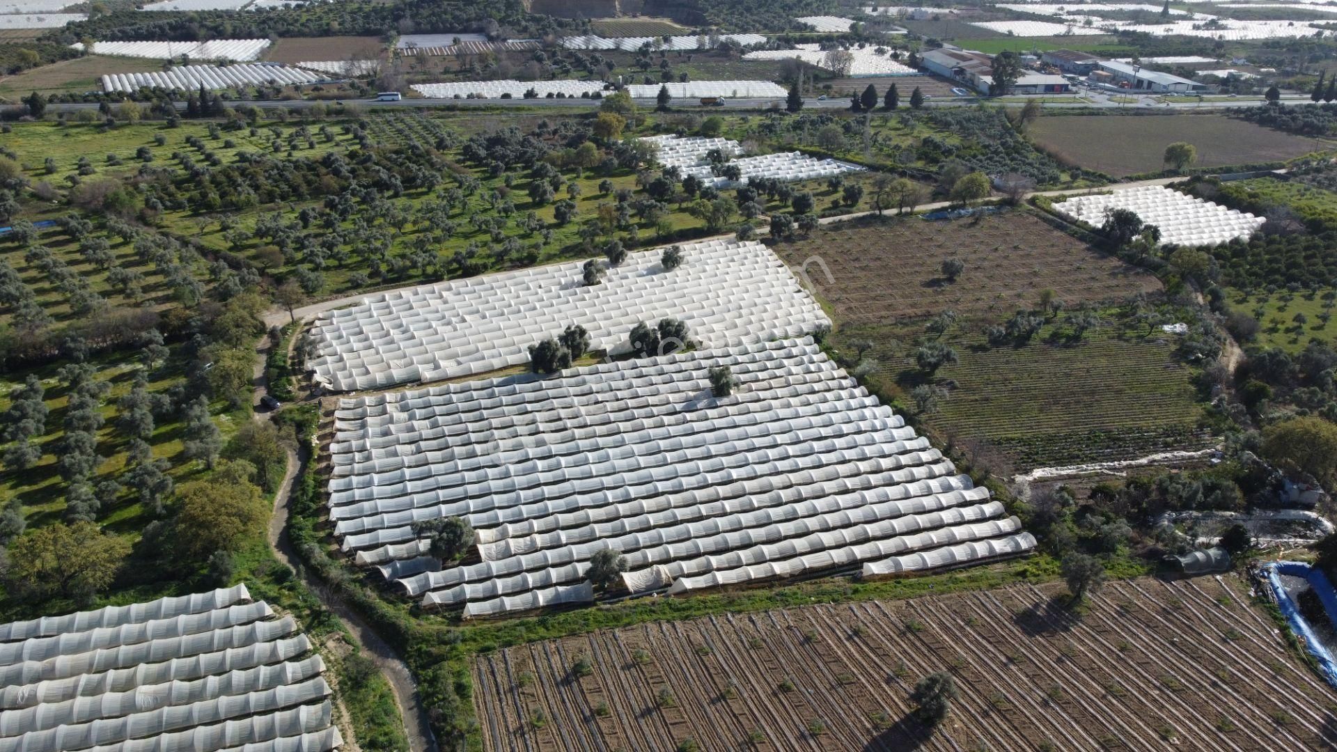 ✅✅ !!acilll!! Sultanhisar-yenipazar Yolu Kavşağında Satılık Bahçe ✅✅ - Görsel 8