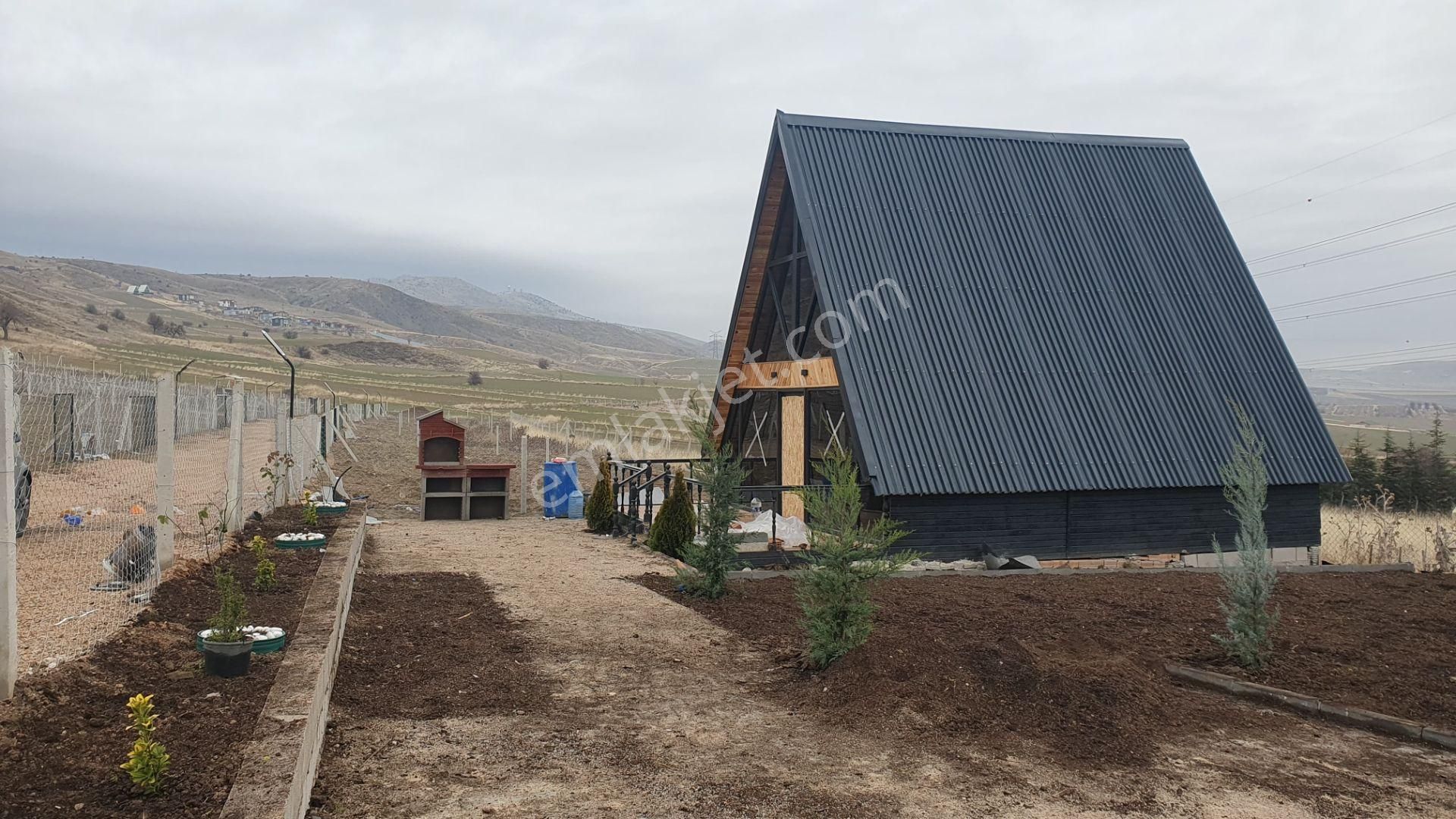 Asfalta Cephe Bungulov Ev Önünden Otobüs Geçmekte - Görsel 8