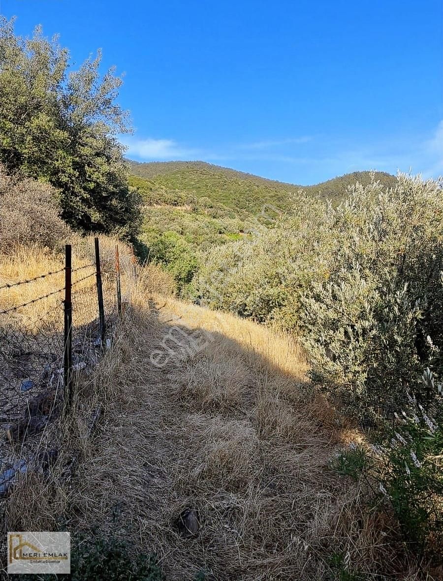 Deniz Manzaralı Mandalina Bahçesi - Görsel 7