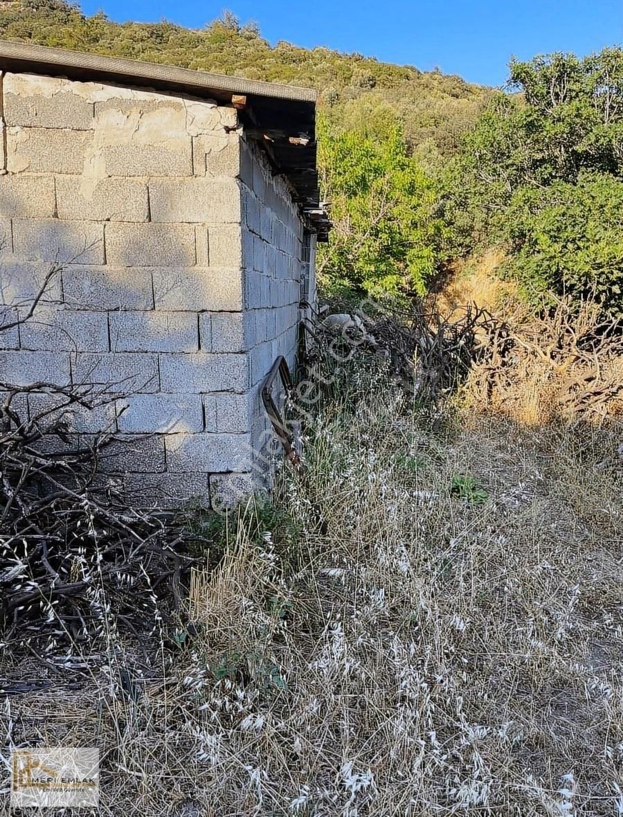 Deniz Manzaralı Mandalina Bahçesi - Görsel 9