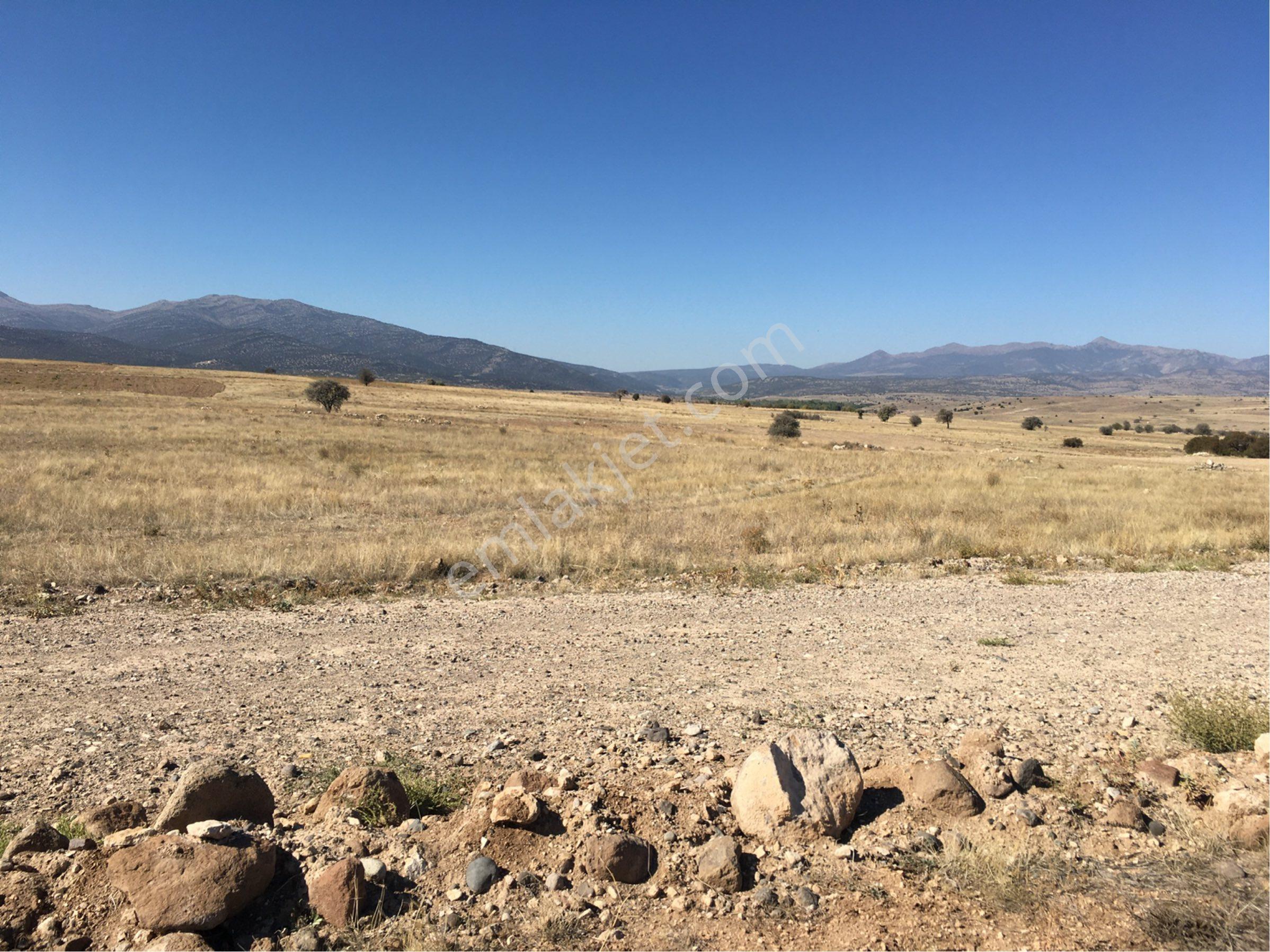 Konya Akören Tülcede Anayola Yakın 3319 M2 Yatırımlık Tarla - Görsel 3