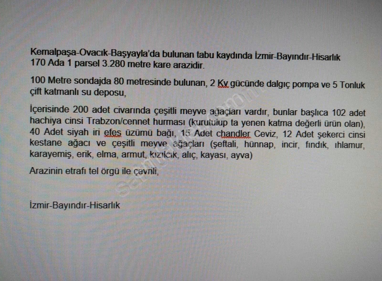 Kemalpaşa Ovacık Başyaylada Elma Ve Çeşitli Meyve Bahçesi - Görsel 3