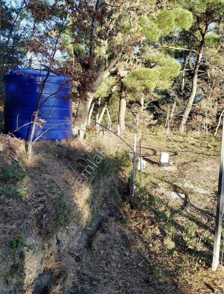 Kemalpaşa Ovacık Başyaylada Elma Ve Çeşitli Meyve Bahçesi - Görsel 4