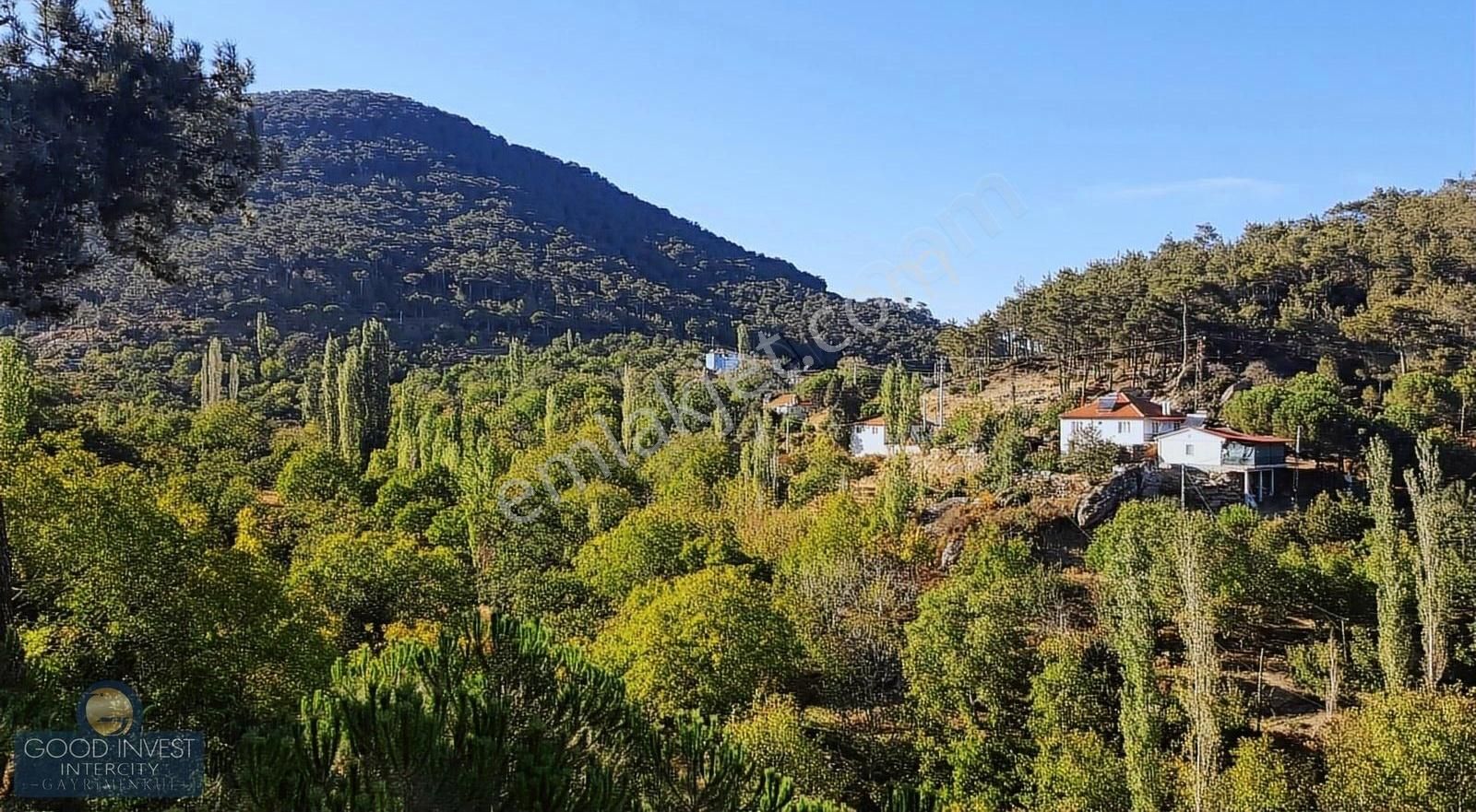 Bozdoğan Altıntaş Satılık Bağ & Bahçe Tıny House, Çiftlik, Yayla Evi İçin 9.5 Dönüm İmarlı Arazi