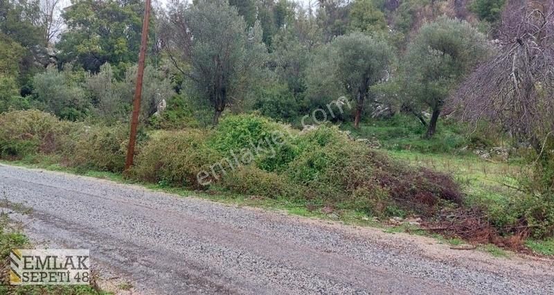 Muğla Marmaris Osmaniye Köyünde Köyiçi İmarlı Arsa - Görsel 3