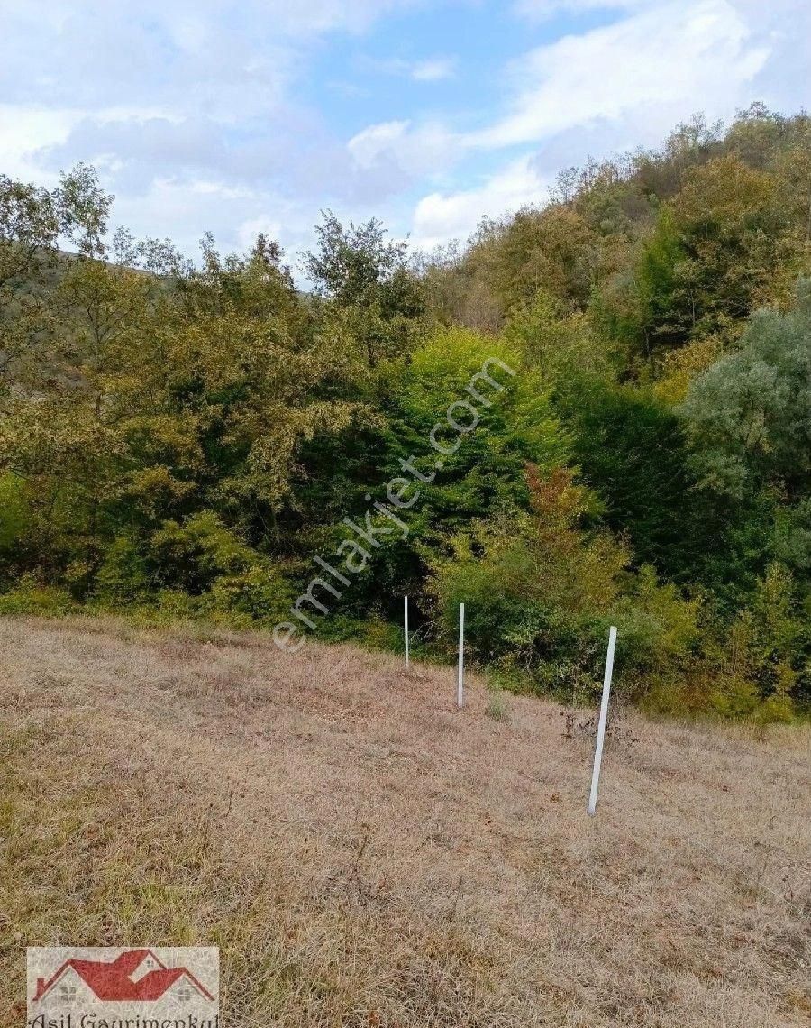 Samsun Kavak Tekke De Bölgenin En Büyük Arazisi 168.925.95 M2 - Görsel 18