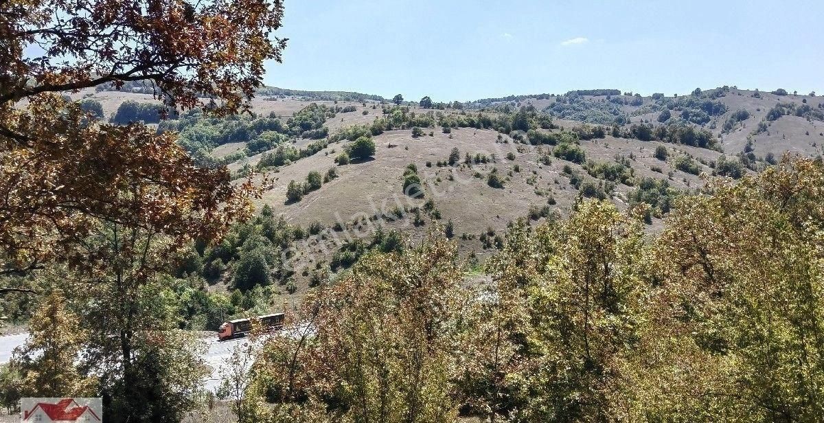Samsun Kavak Tekke De Bölgenin En Büyük Arazisi 168.925.95 M2 - Görsel 24