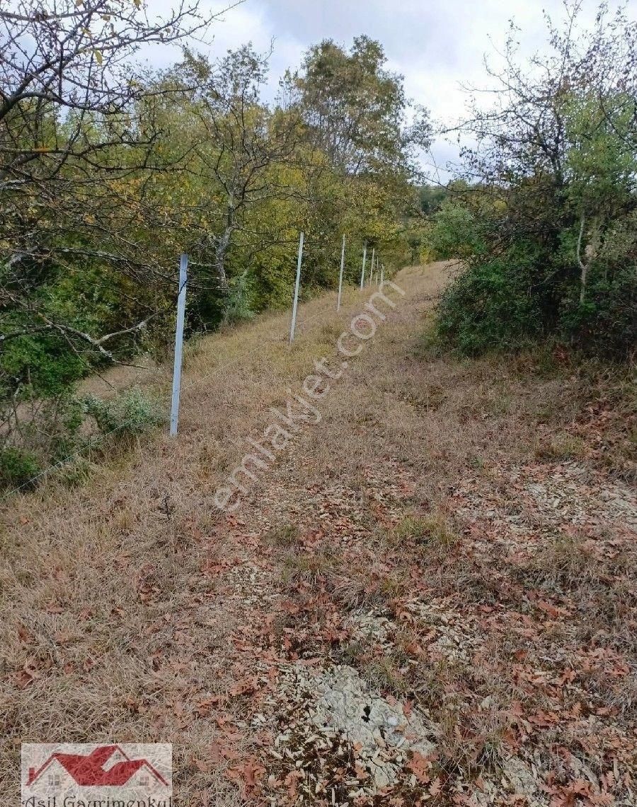 Samsun Kavak Tekke De Bölgenin En Büyük Arazisi 168.925.95 M2 - Görsel 17