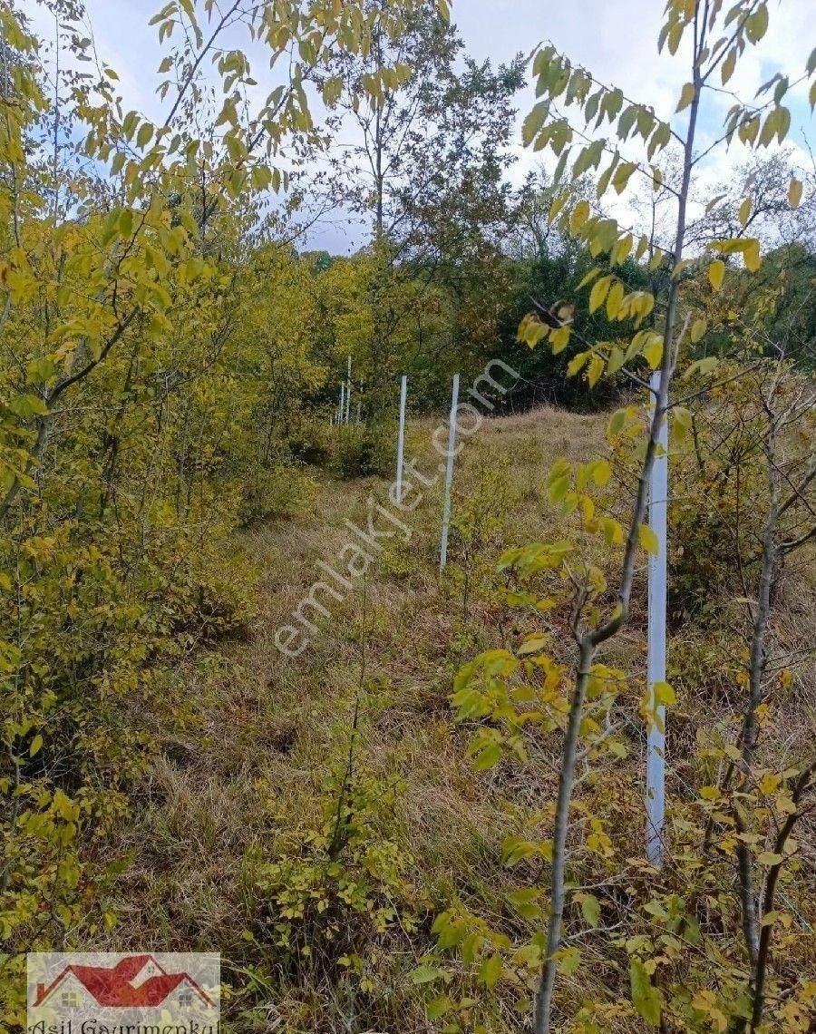 Samsun Kavak Tekke De Bölgenin En Büyük Arazisi 168.925.95 M2 - Görsel 34