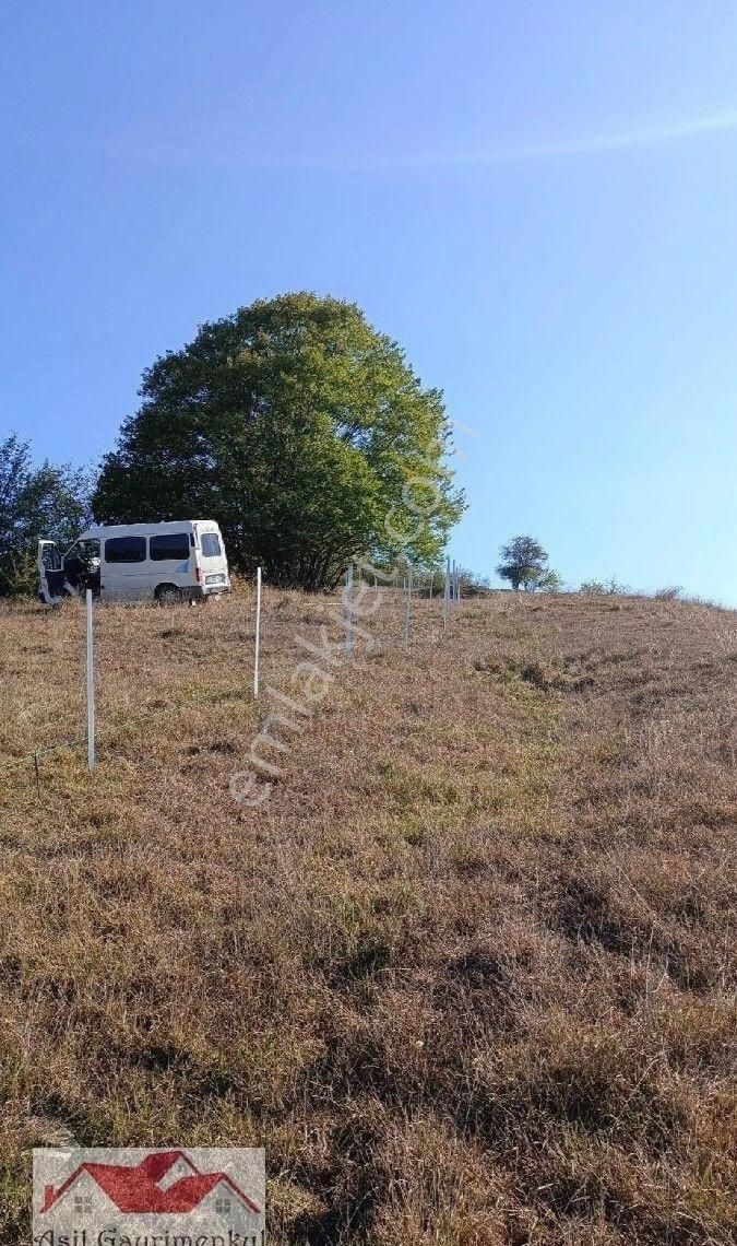 Samsun Kavak Tekke De Bölgenin En Büyük Arazisi 168.925.95 M2 - Görsel 5