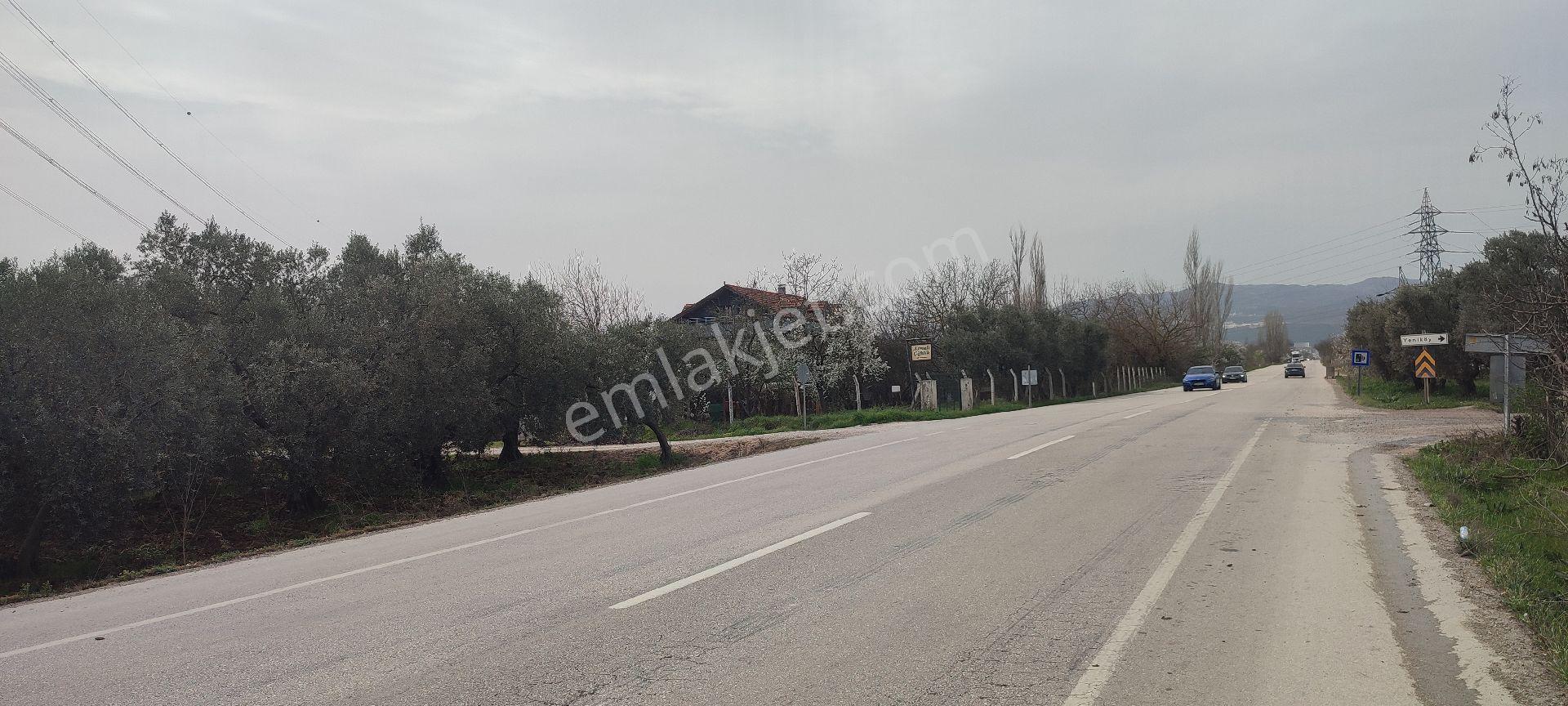 Bursa Orhangazi Yeniköy Mahallesinde Asfalt Yola Cephe Satılık Fırsat Arsa - Görsel 4