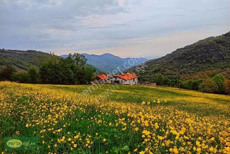 Başiskele Aksığın Satılık Müstakil Ev Yuvacık Parmaklarda Satılık Müstakil 2000 M2 Arsa İçinde Ev