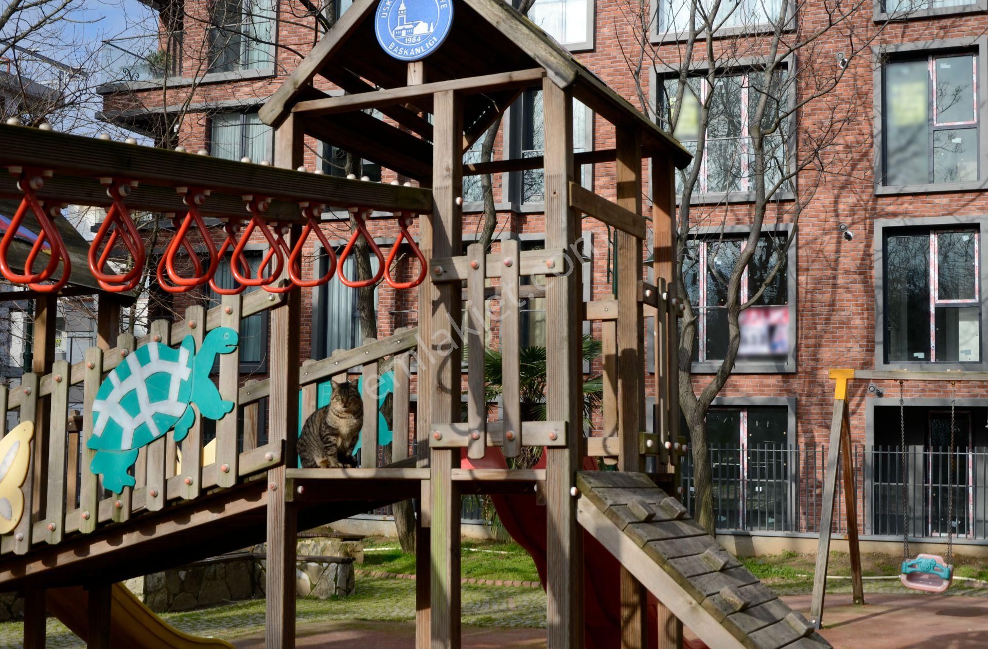 Koşuyolu, Validebağ Korusu Ve Park Manzaralı, İskanlı Yeni Bina, Ebeveyn Banyolu 3+1 - Görsel 20