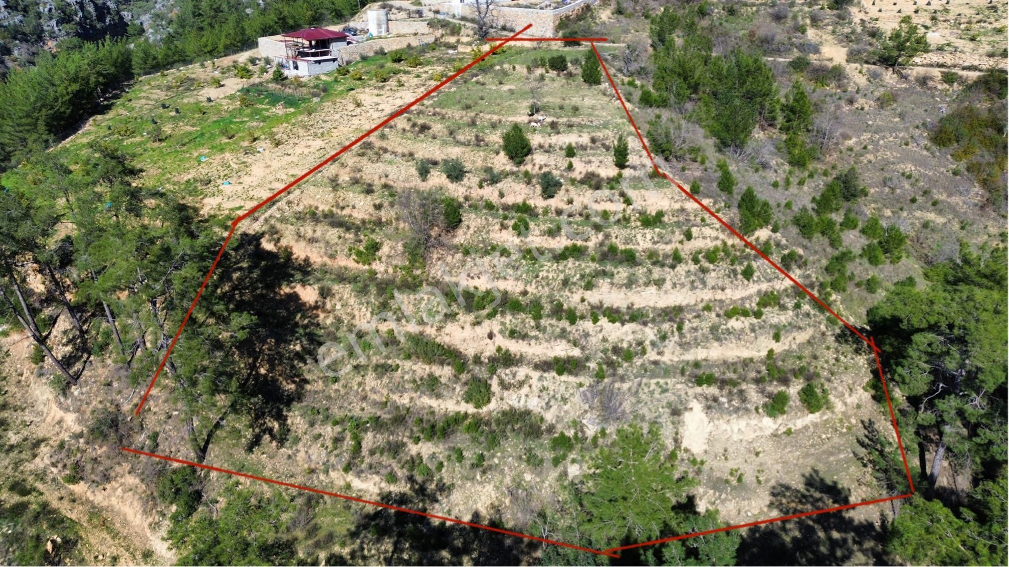 Satılık 4050 M2 Tarla - Görsel 2