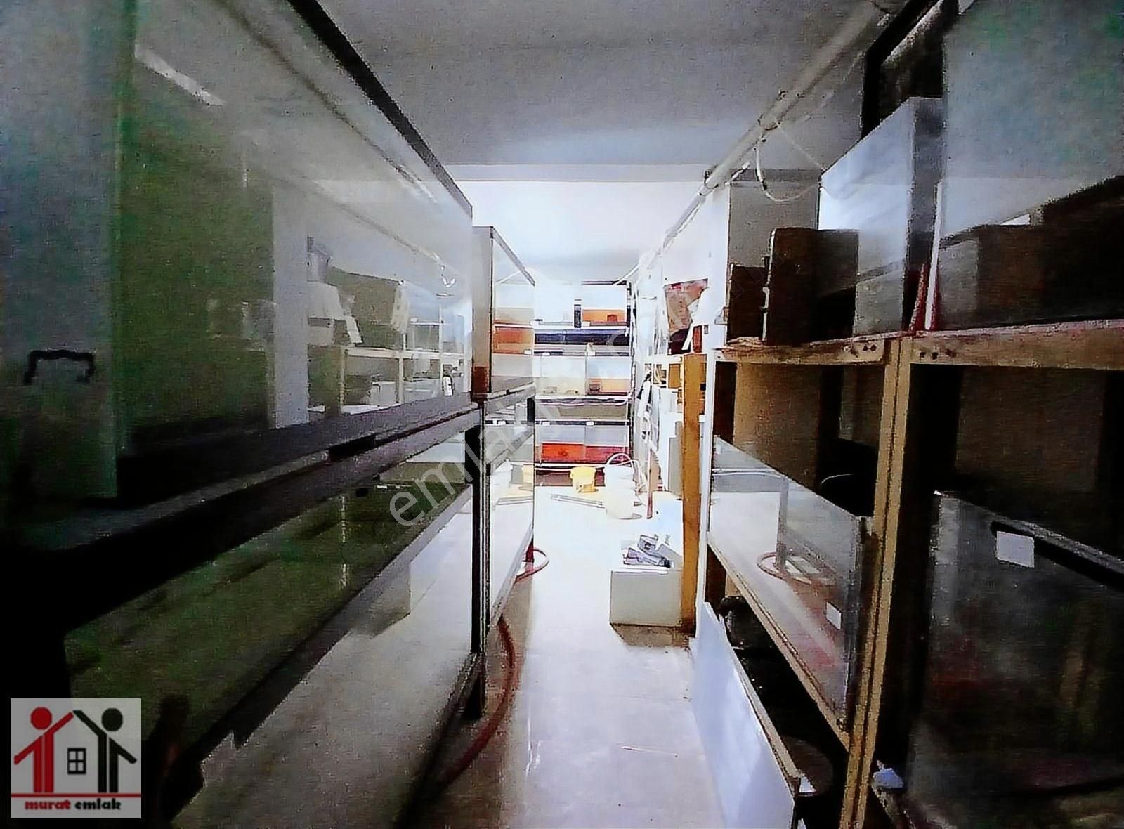 Devren Satılık Süs Balığı Üretimhanesi - Görsel 3