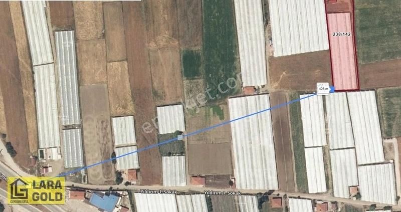 Burdur Çavdır Söğütte Tek Tapu Kurulu Düzen, Sera - Ev- Ağaç - Görsel 8
