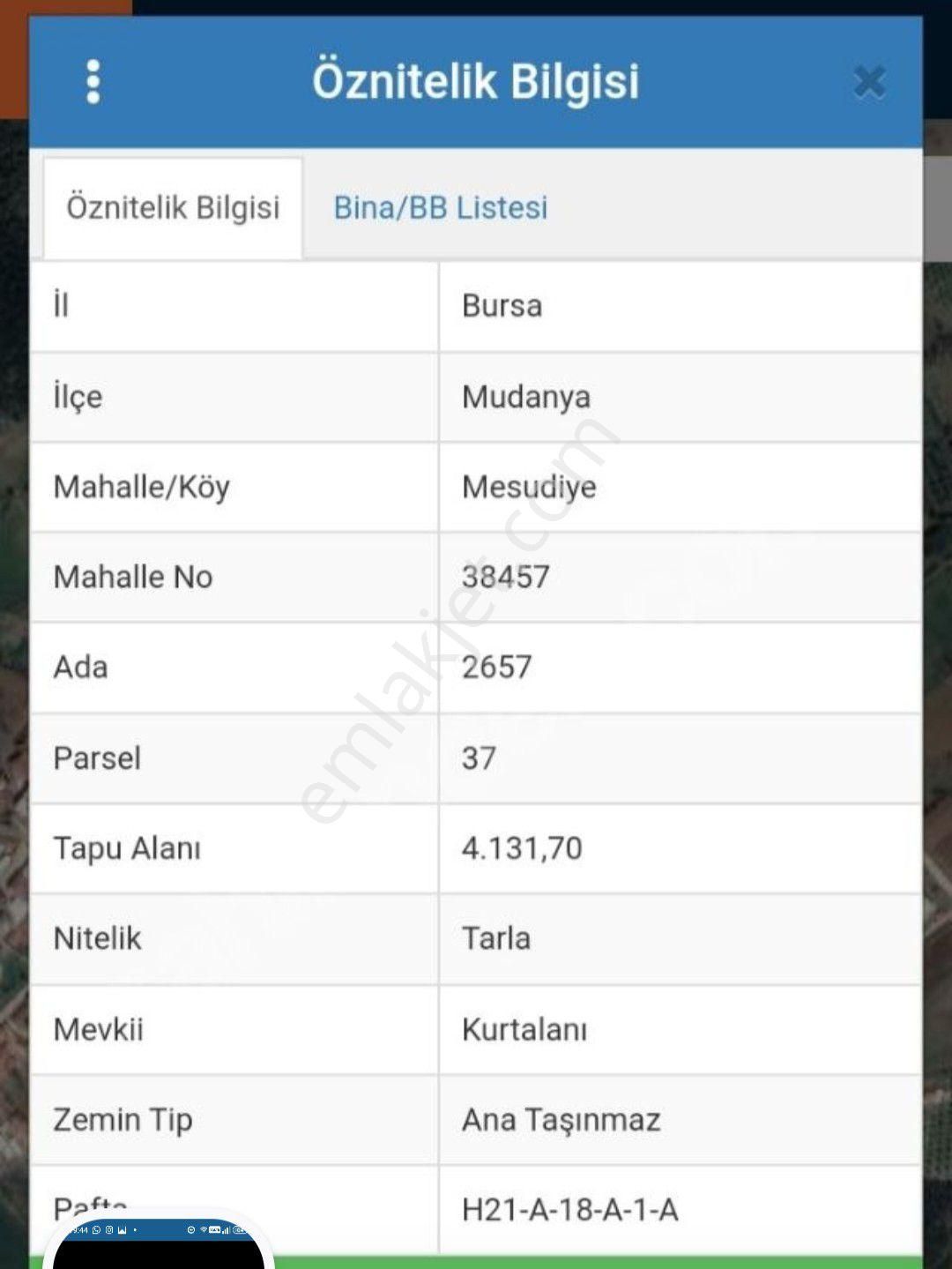 Mudanya Mesudiye Satılık Tarla Bursa Mesudiye Köy Yaninda 4130 M Tarla