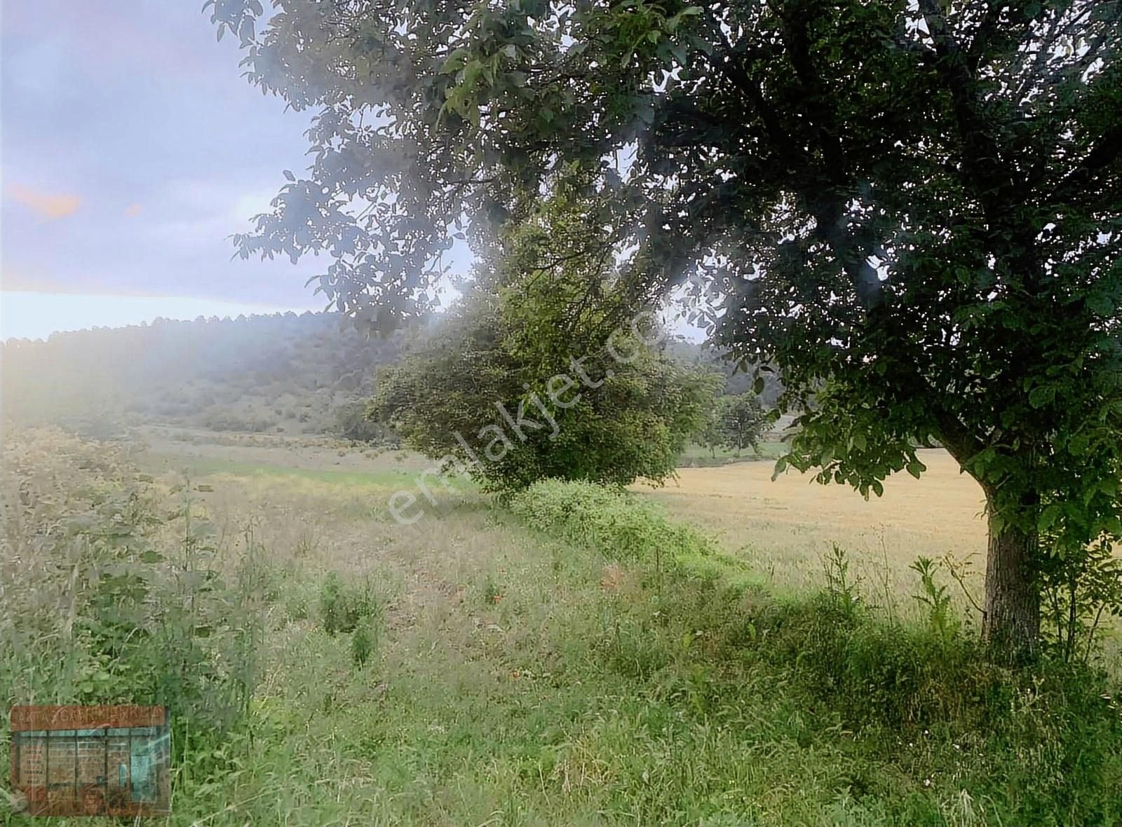 Yenişehir Merkeze Yakın Akdere De 1300 M2 Tarla - Görsel 3