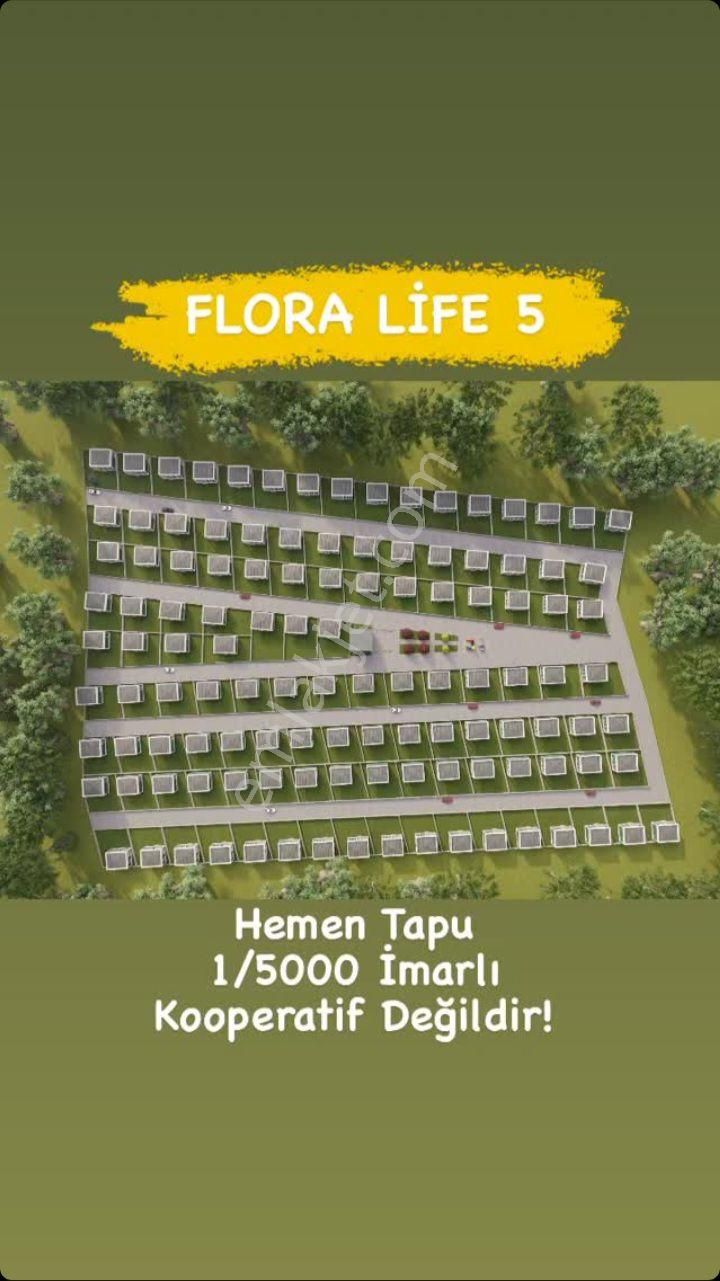 Polatlı Olukpınar Satılık Bağ & Bahçe Flora Life 5 Te Sahibinden Satılık Hobi Bahçesi