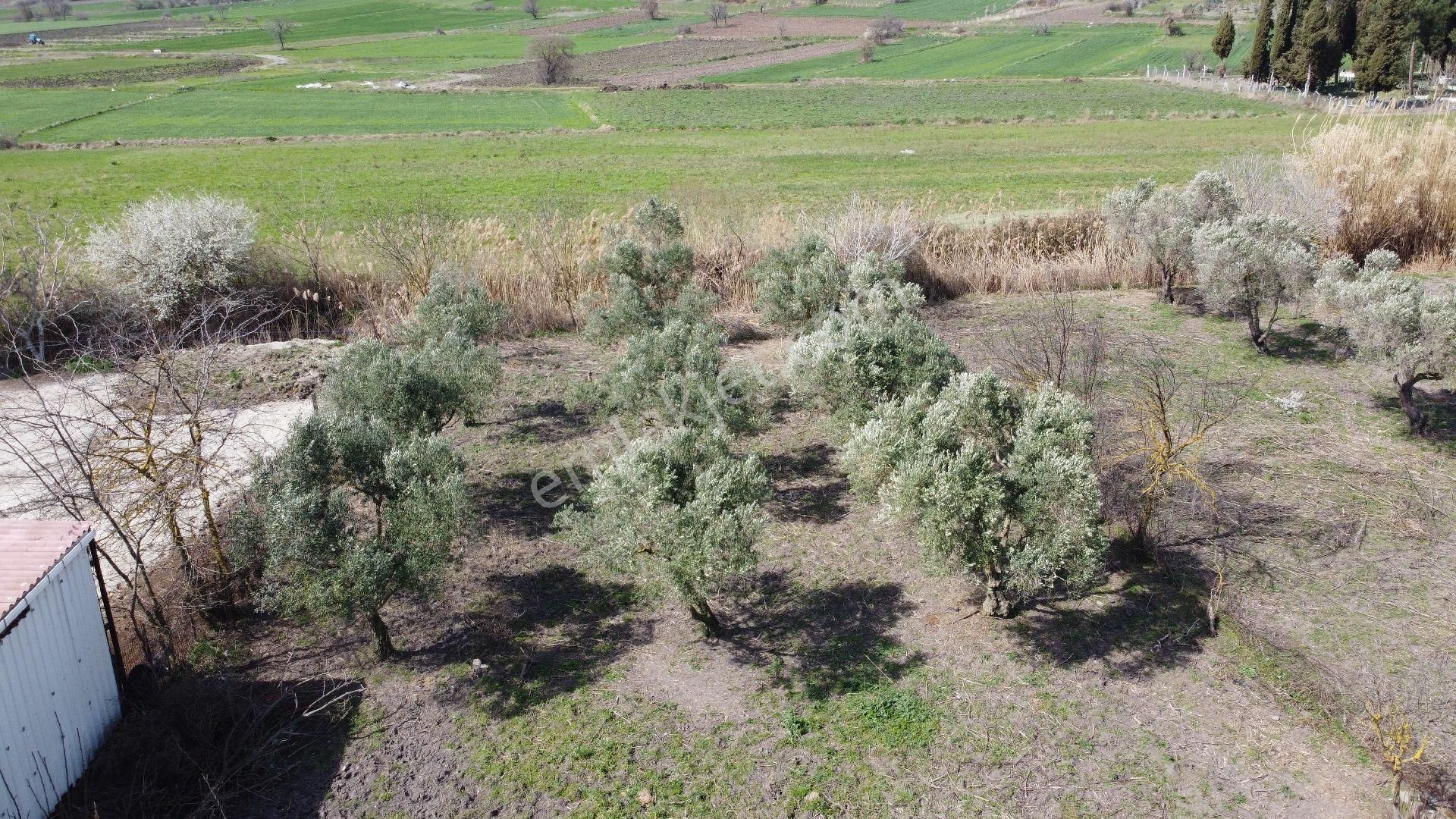 Gönen Ilıcak Köyün'de Satılık Müstakil Köy Evi - Görsel 9
