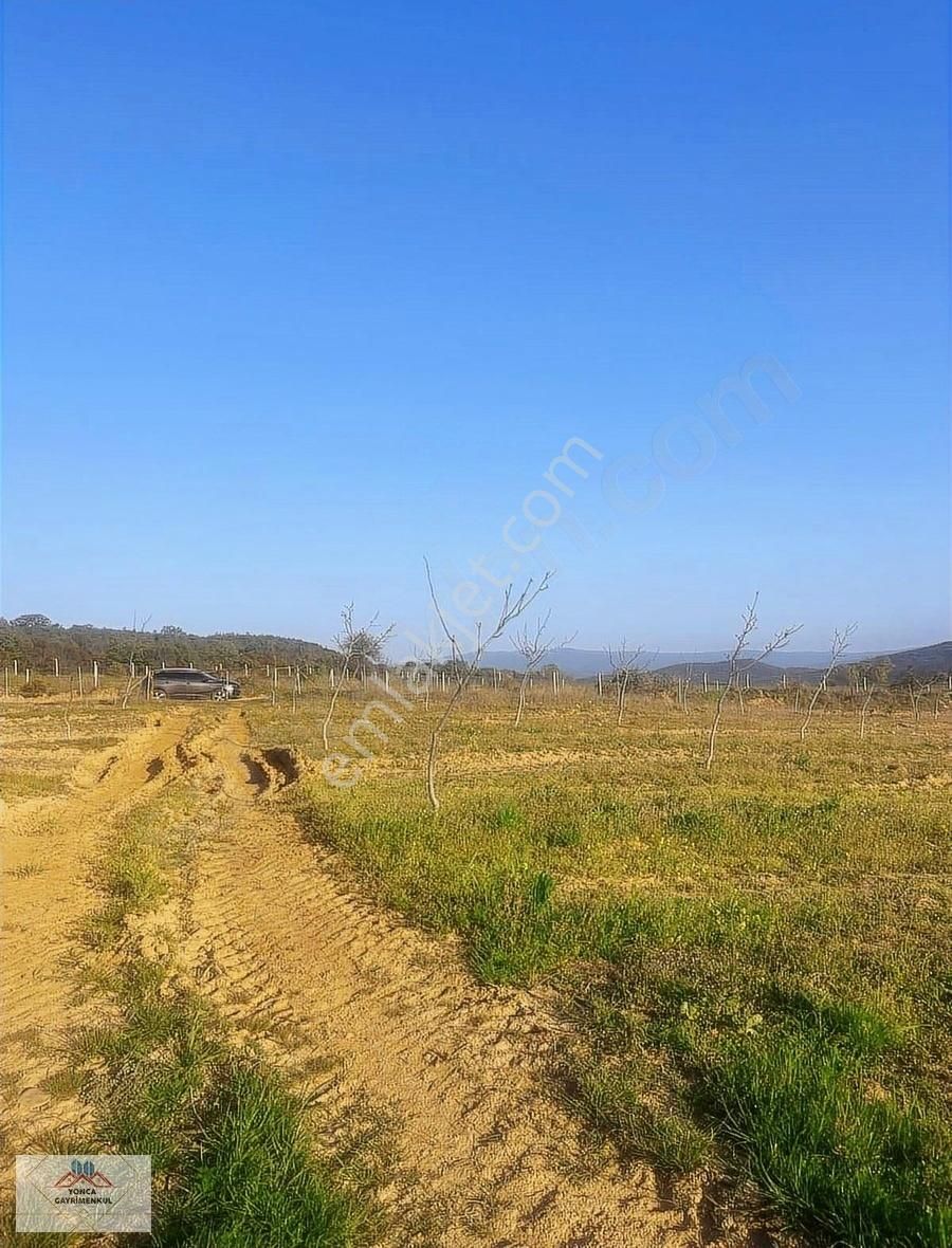 Malkara Sarıpolat Satılık Tarla Yonca Emlaktan Satılık Tek Tapu Tarla