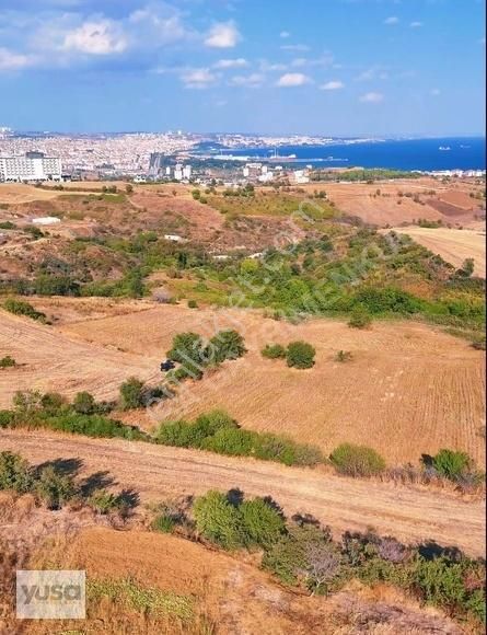 Tekirdağ Süleymanpaşa Satılık Özel Kullanım Süleymanpaşa Barbaros Mahallesinde Deniz Manzaralı Arsa!