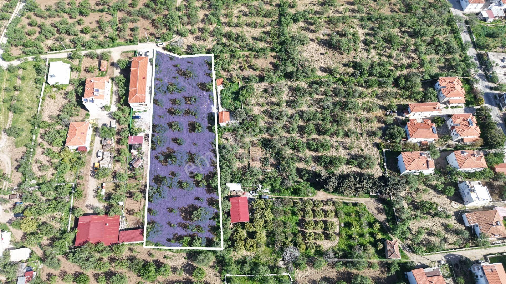 Datça Palamutbükün'de Satılık Turizm İmar Planında 3.733m²arsa - Görsel 3