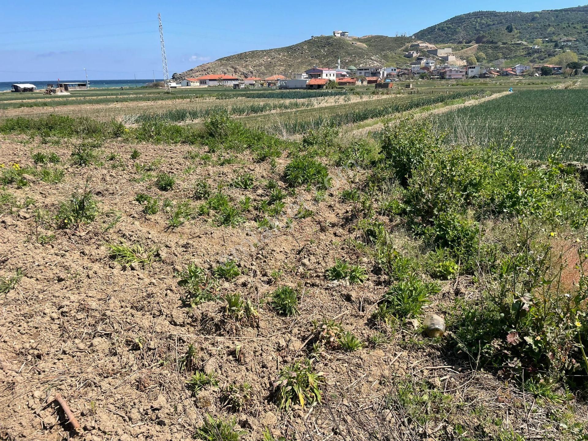 Erdek Ballıpınar Satılık Tarla Erdek Ballıpınar Mahallesinde Denize 240 Metre Mesafede Satılık