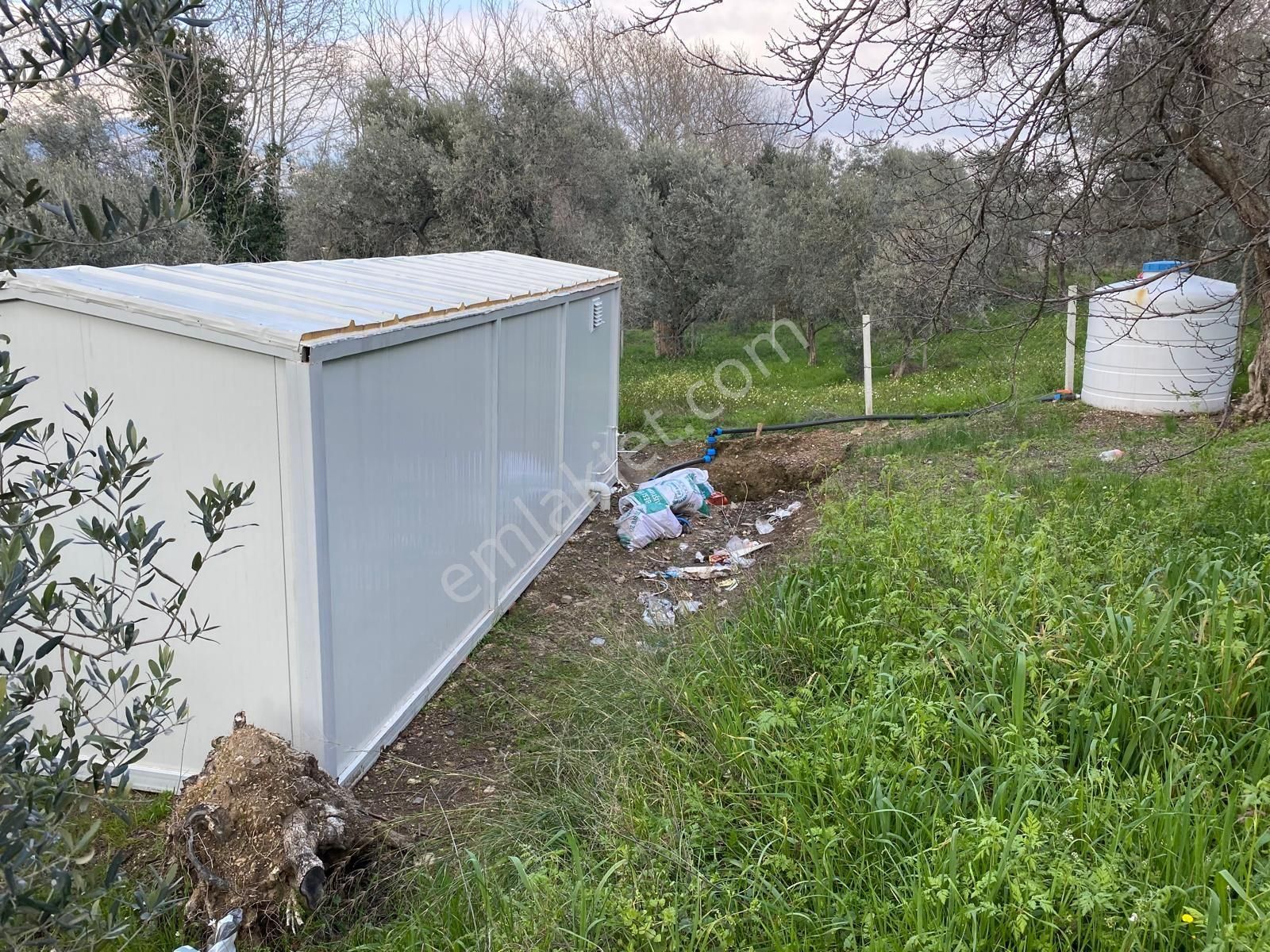 Satılık Yatırımlık Ful Zeytinlik Yolu Suyu Var Eletrik Alınır - Görsel 7