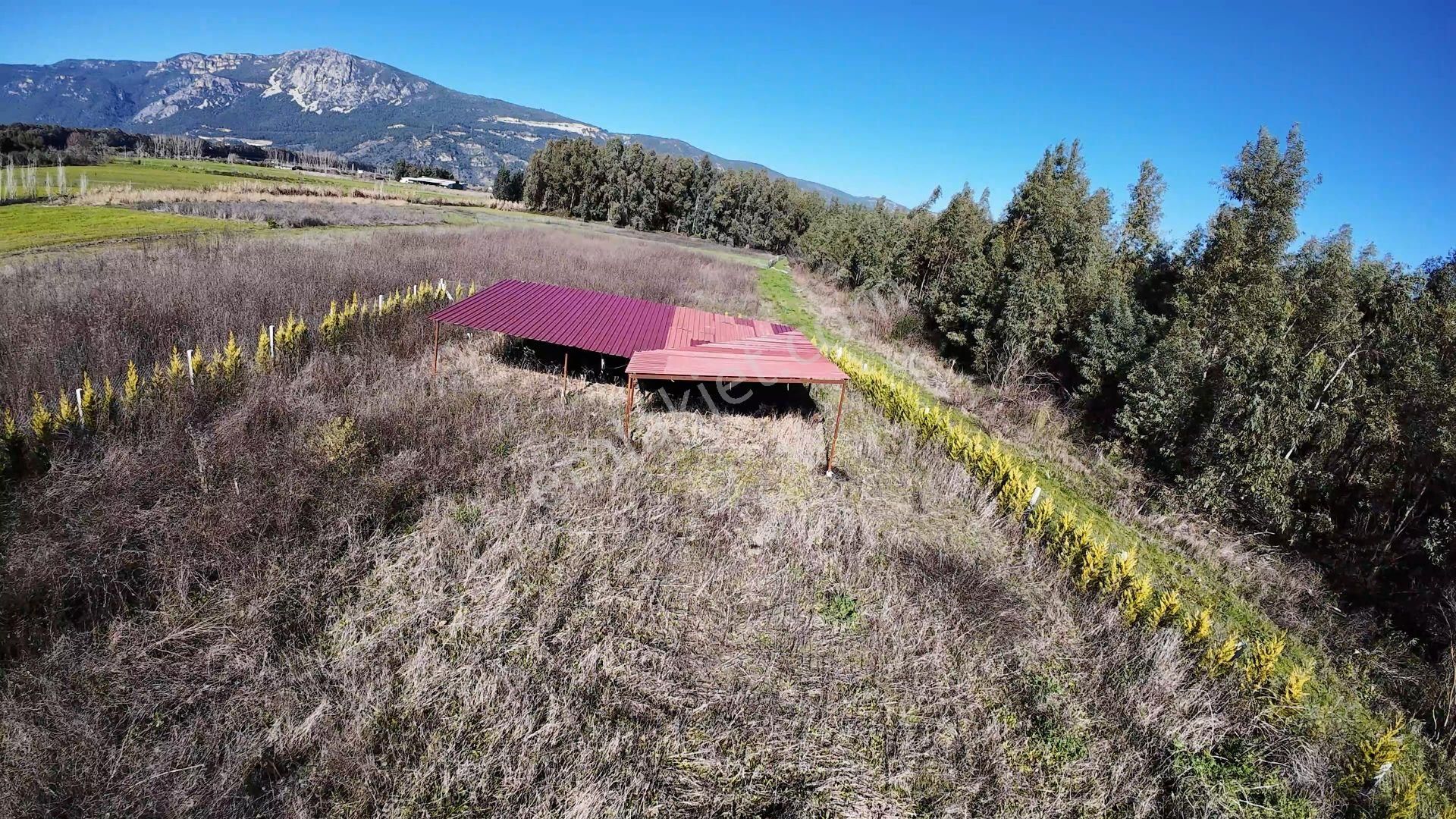 Gökova Akçapınar'da 4.373 M2 Resmi Yola Cepheli Satılık Arazi - Görsel 2