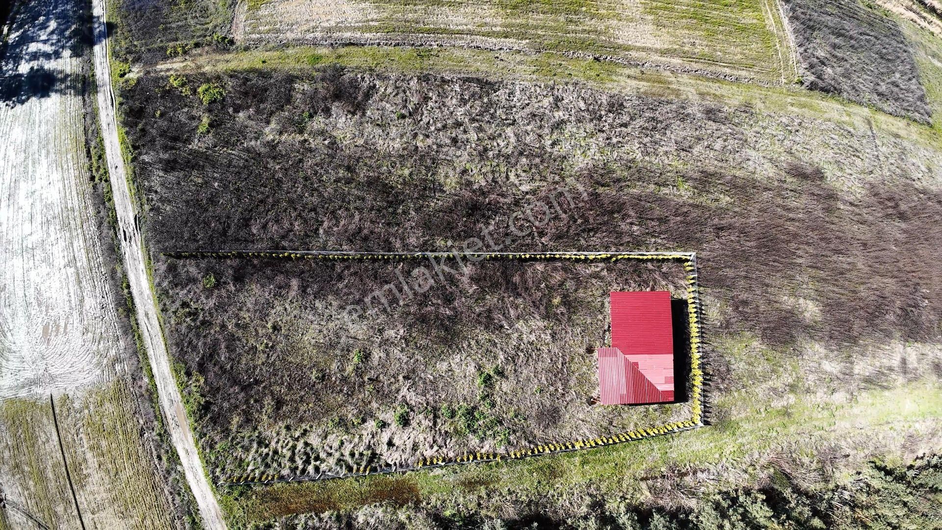 Gökova Akçapınar'da 4.373 M2 Resmi Yola Cepheli Satılık Arazi - Görsel 4