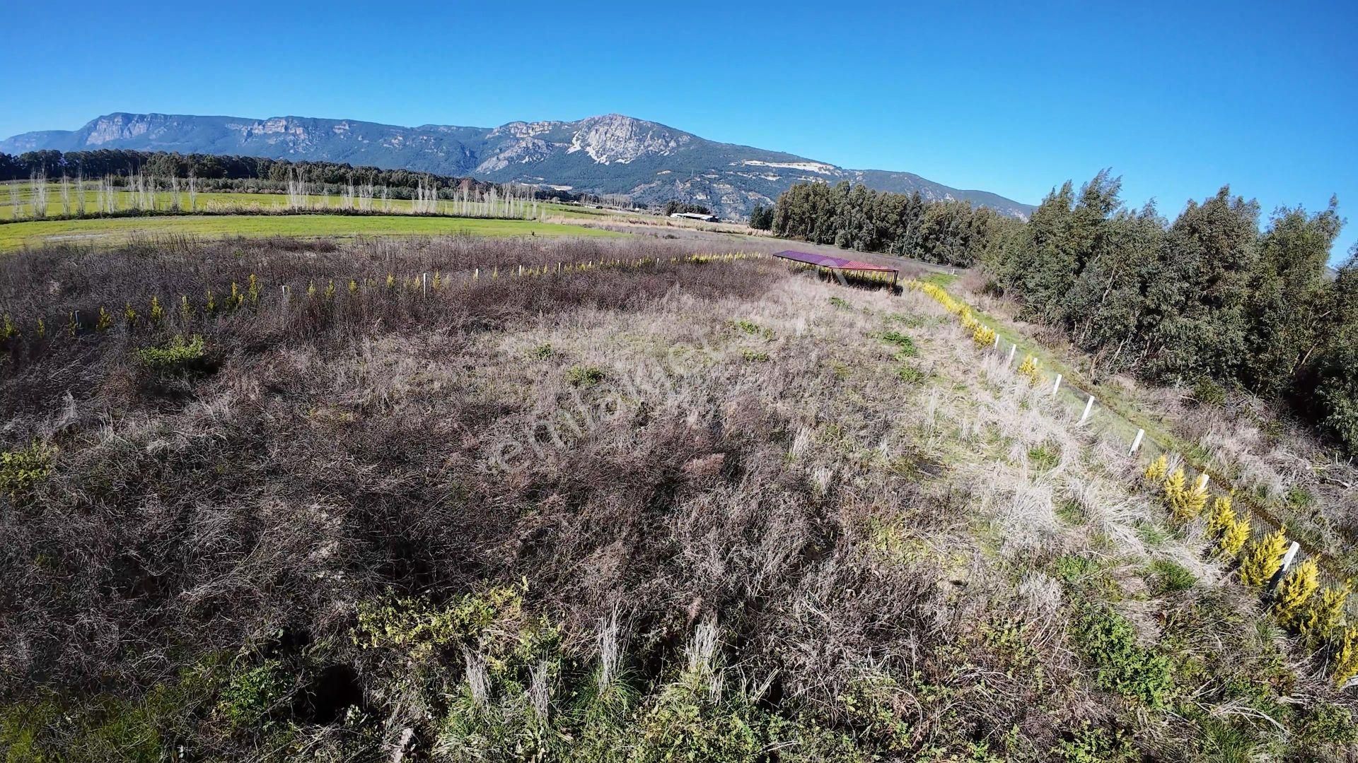 Gökova Akçapınar'da 4.373 M2 Resmi Yola Cepheli Satılık Arazi - Görsel 10