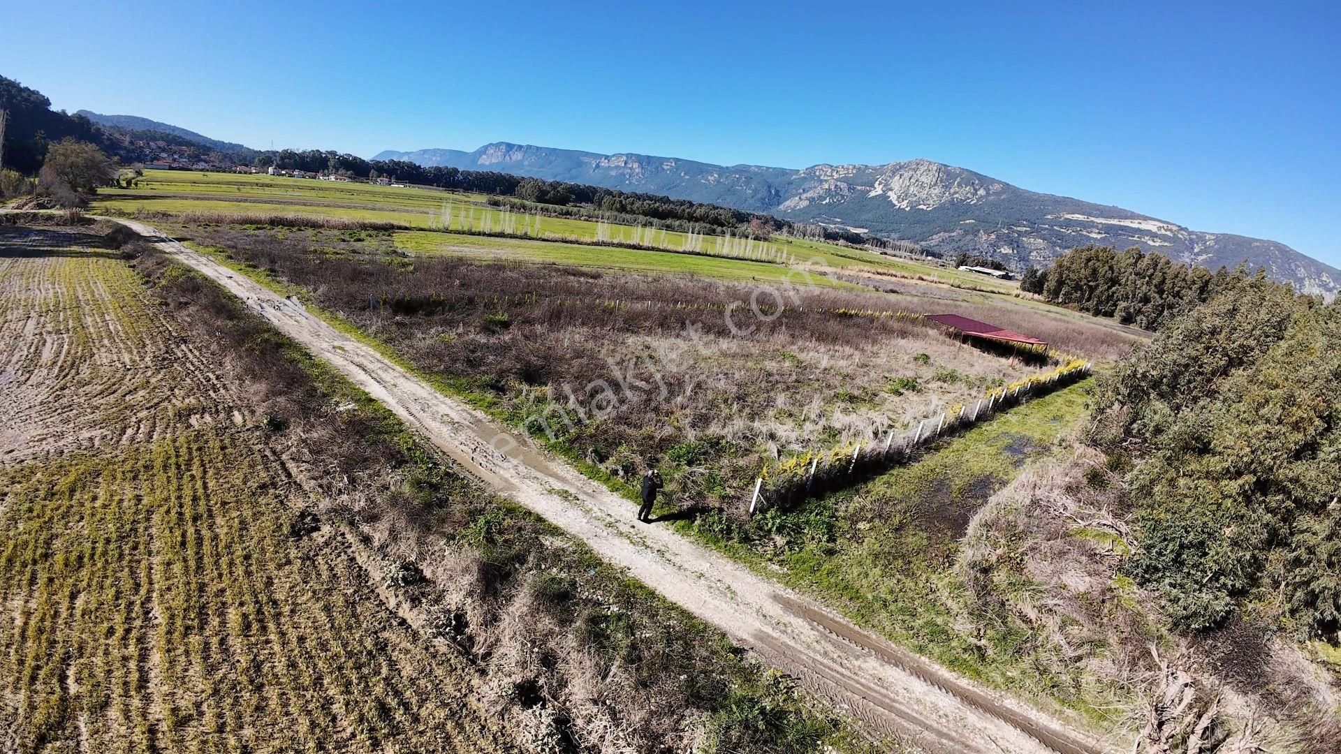 Gökova Akçapınar'da 4.373 M2 Resmi Yola Cepheli Satılık Arazi - Görsel 11