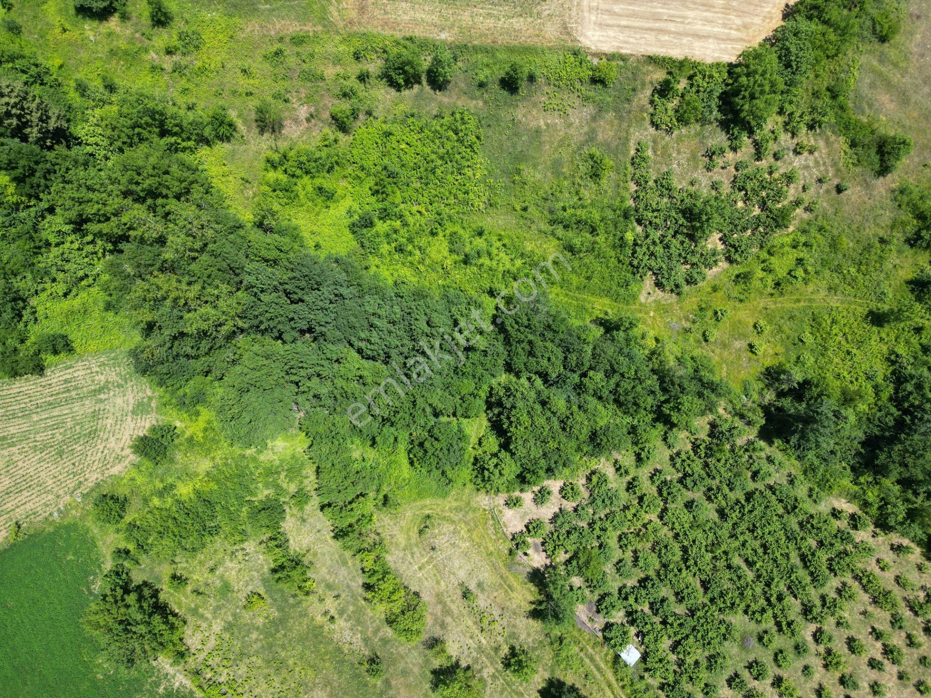 Kandıra'da Organizye 500 Metre İmar Alanı İçinde Araç Takaslı - Görsel 23