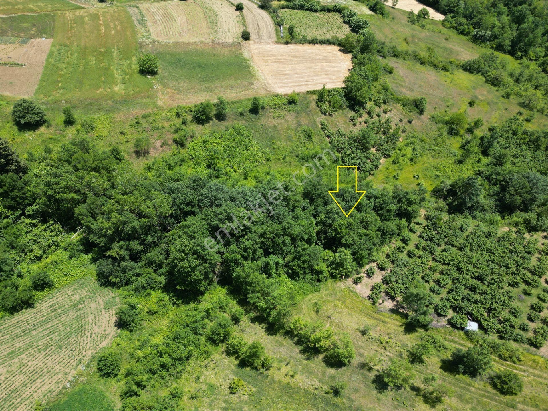 Kandıra'da Organizye 500 Metre İmar Alanı İçinde Araç Takaslı - Görsel 12