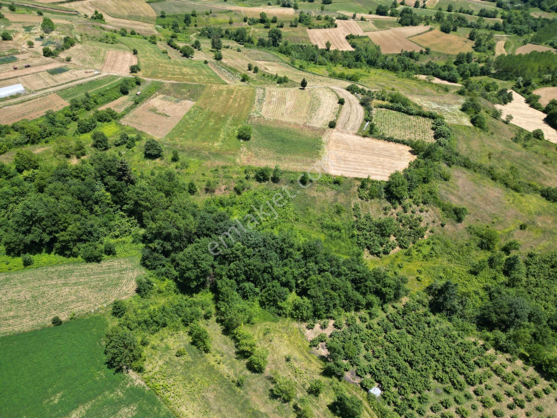 Kandıra'da Organizye 500 Metre İmar Alanı İçinde Araç Takaslı - Görsel 22