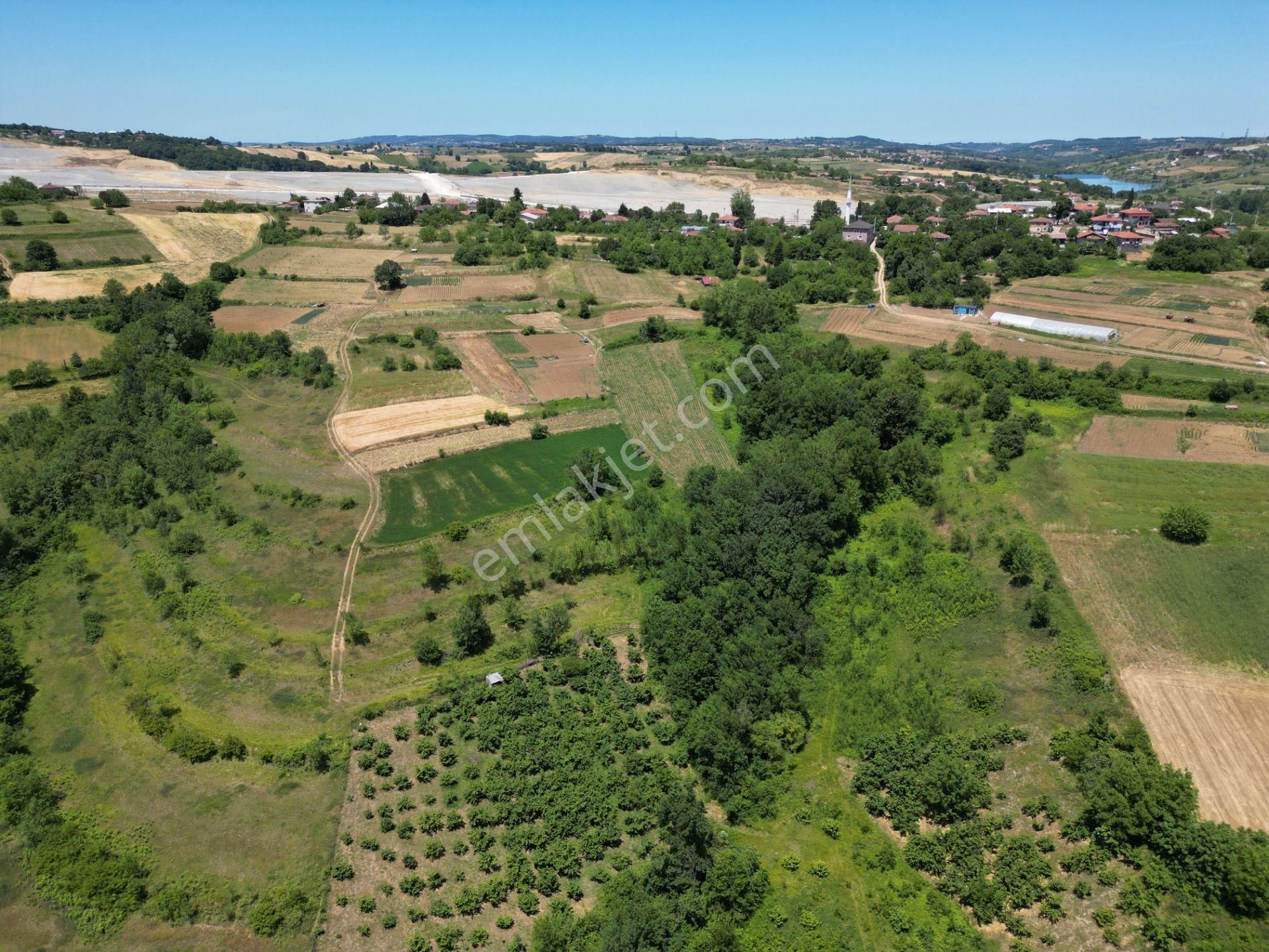 Kandıra'da Organizye 500 Metre İmar Alanı İçinde Araç Takaslı - Görsel 19
